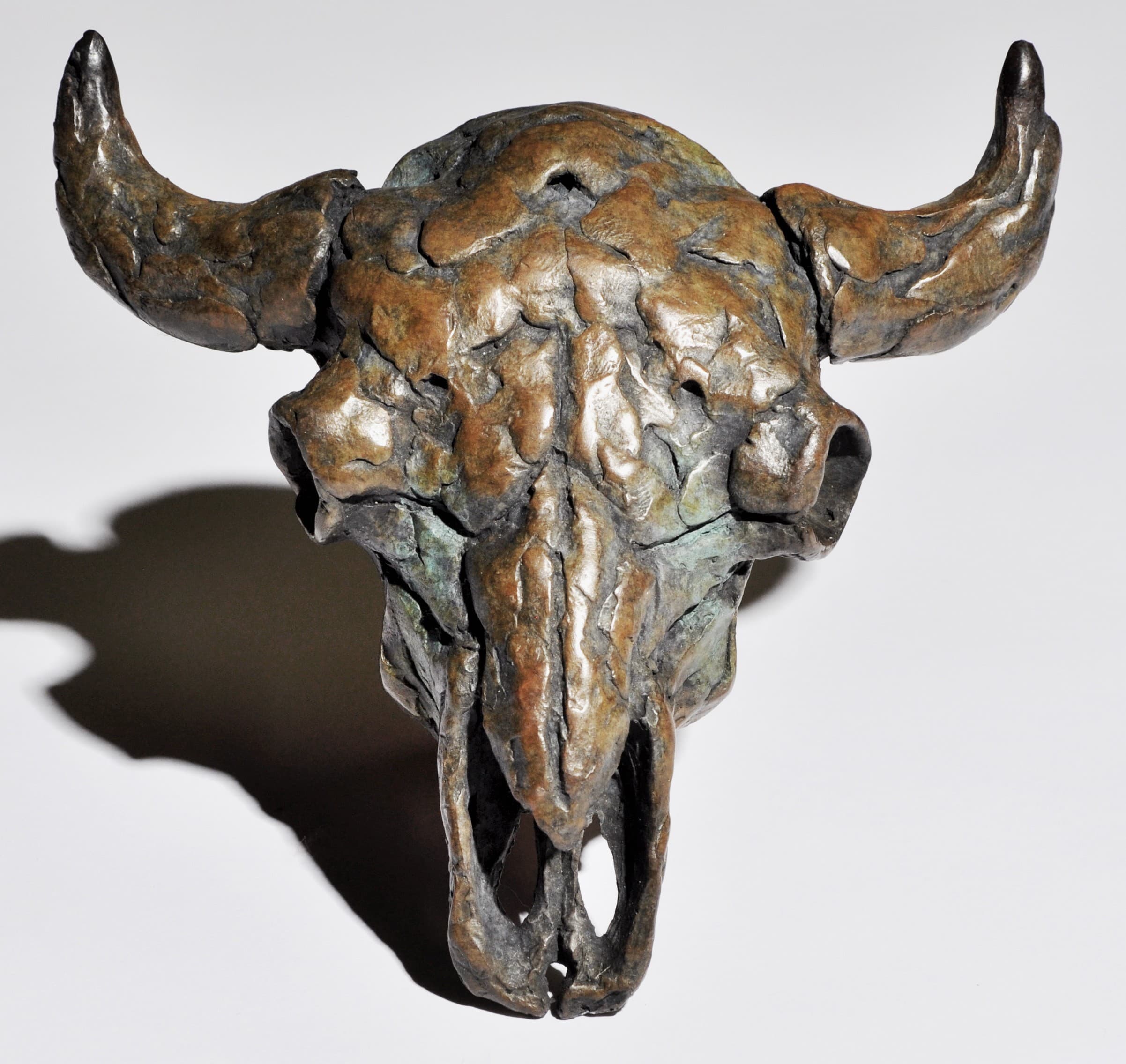 BISON SKULL