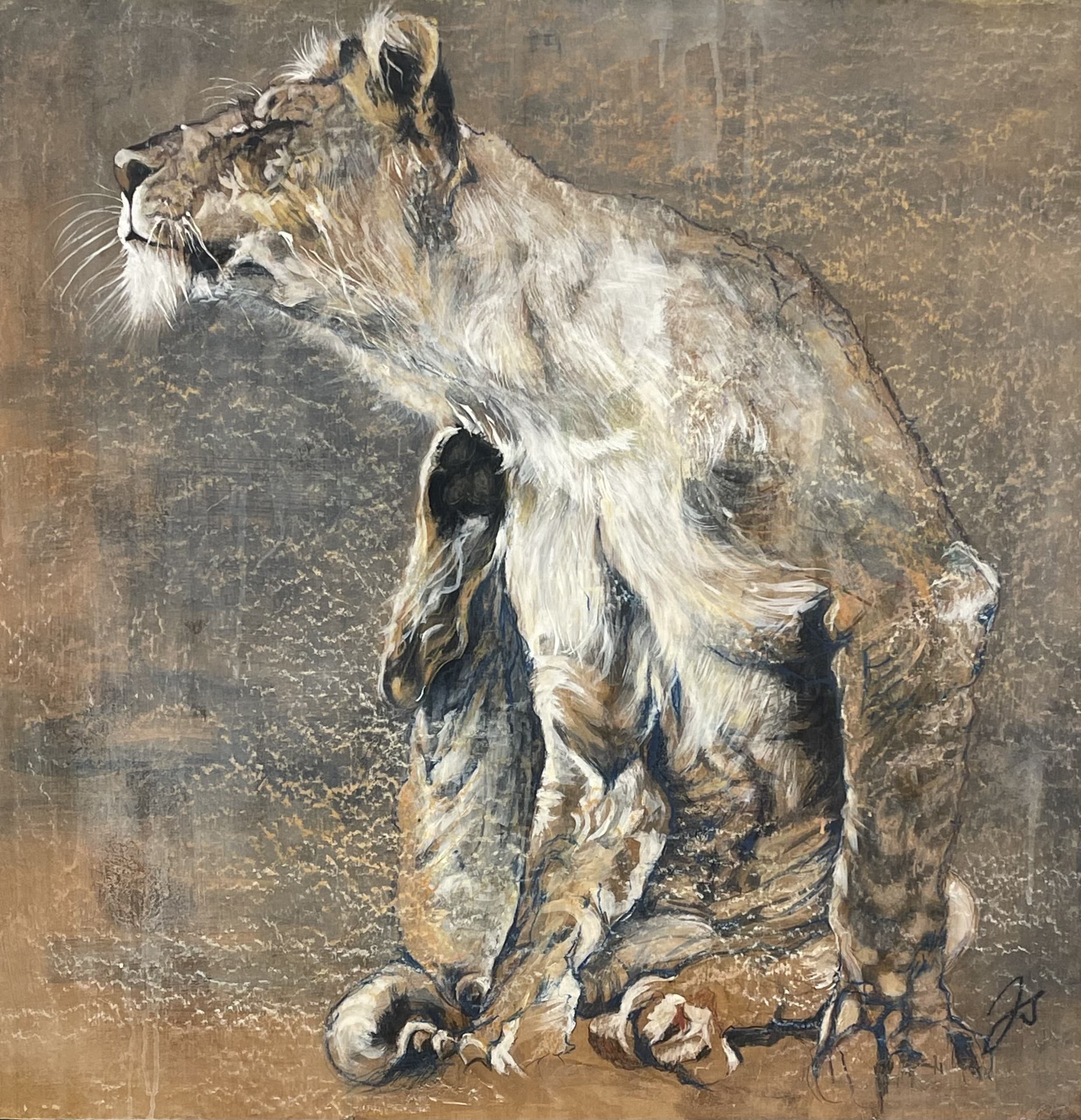 SCRATCHING LIONESS  (LIONNE QUI SE GRATTE)