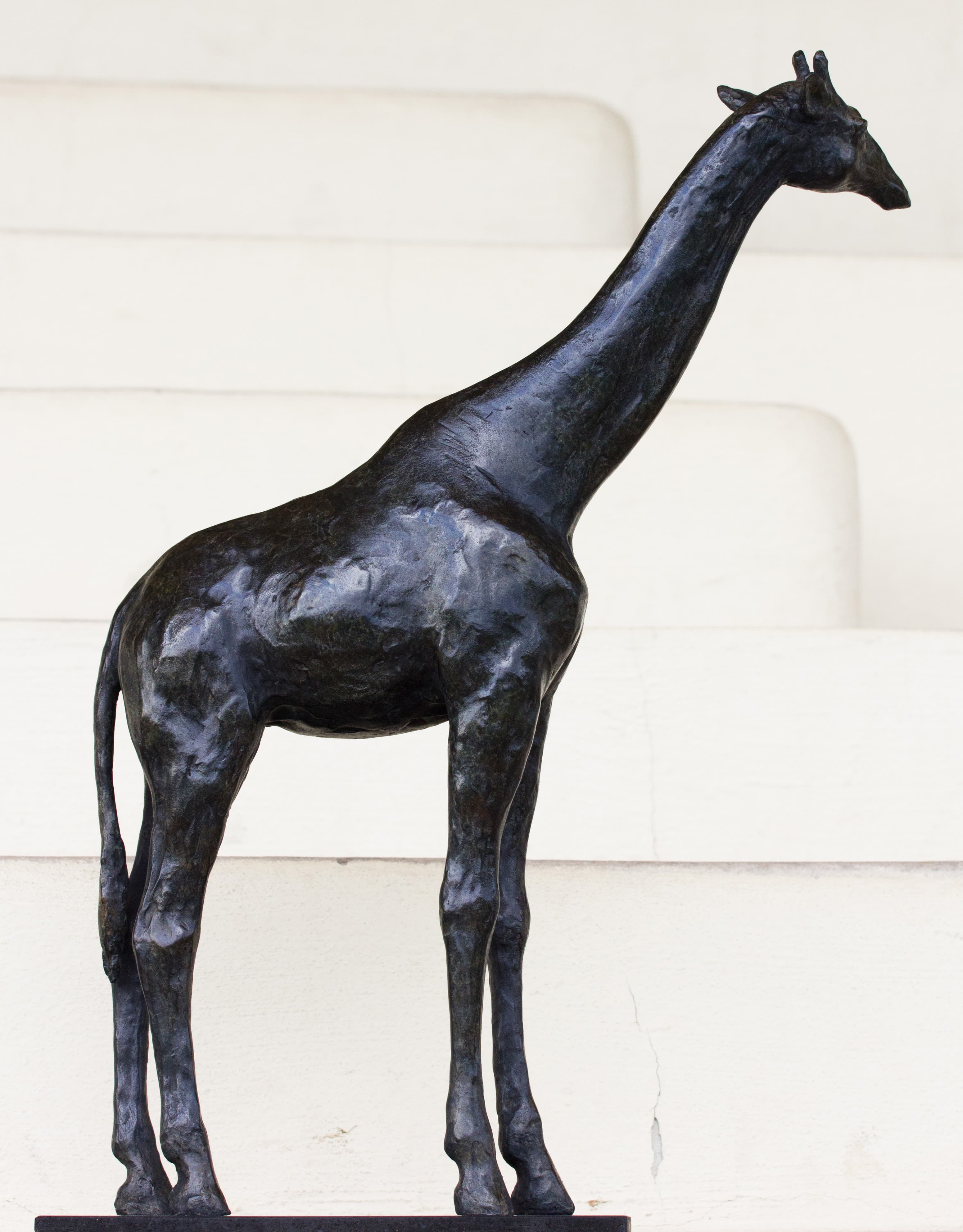 GIRAFE