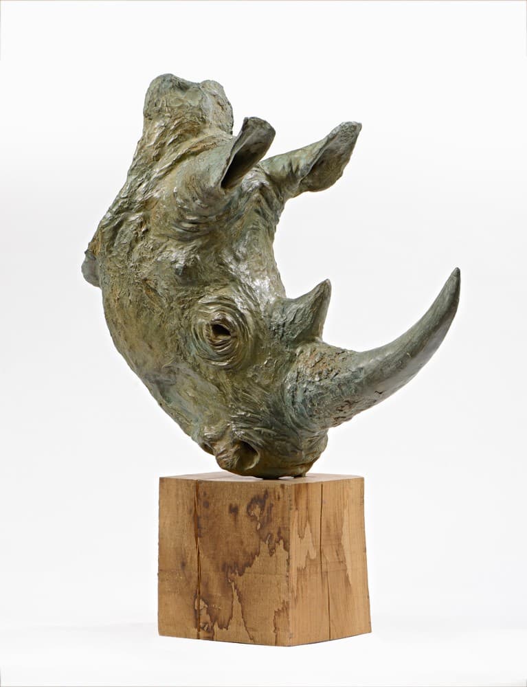 TETE DE RHINOCEROS