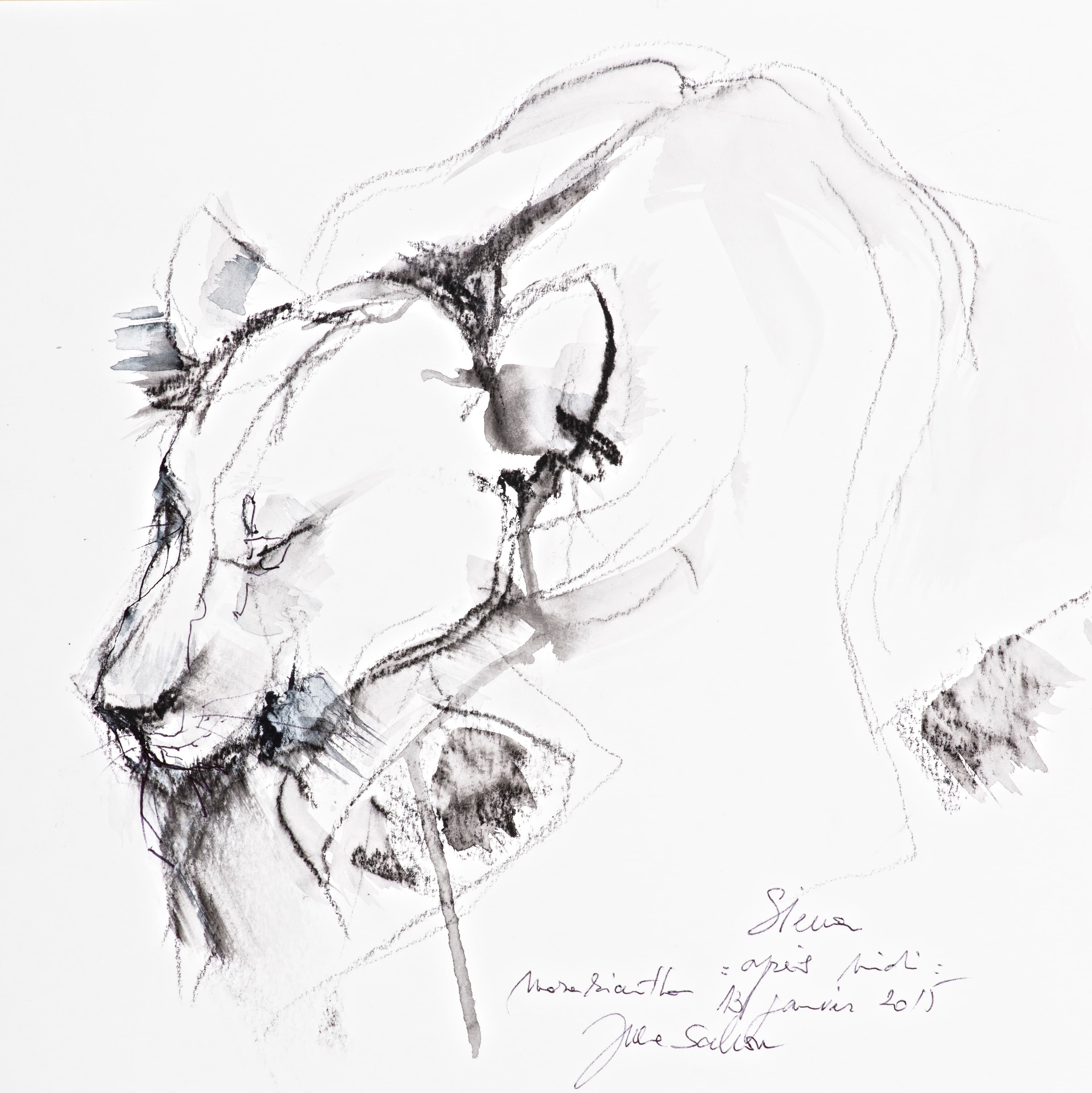 SIENA (lionne)