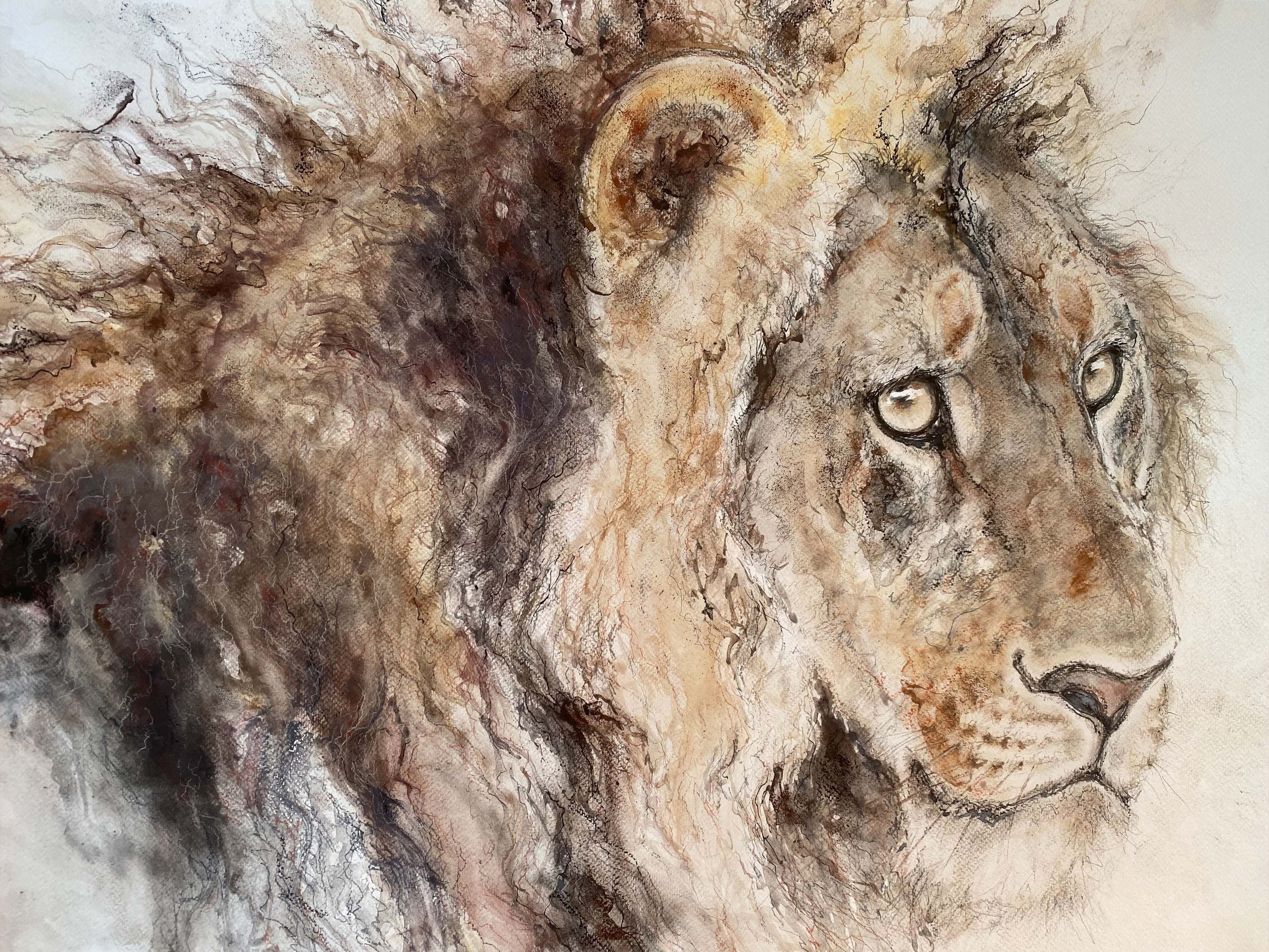 LION (laineux)