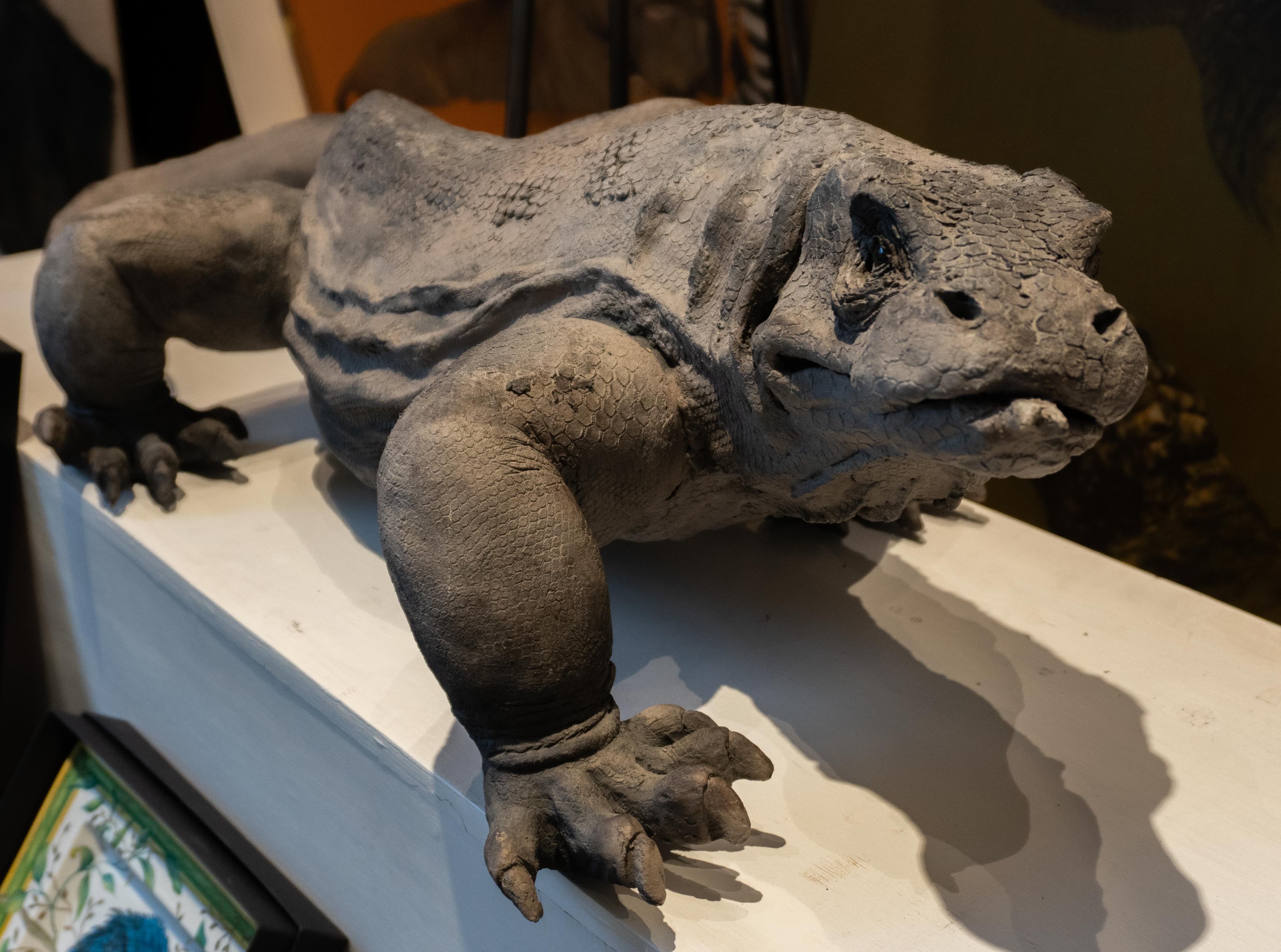 KOMODO (dragon de komodo)