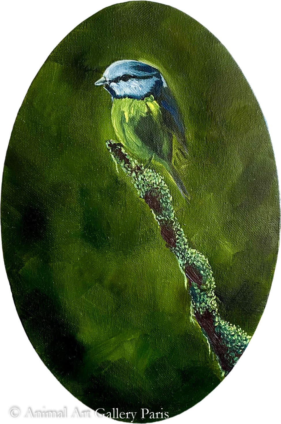 THE ROCKET MAN (Une mésange)