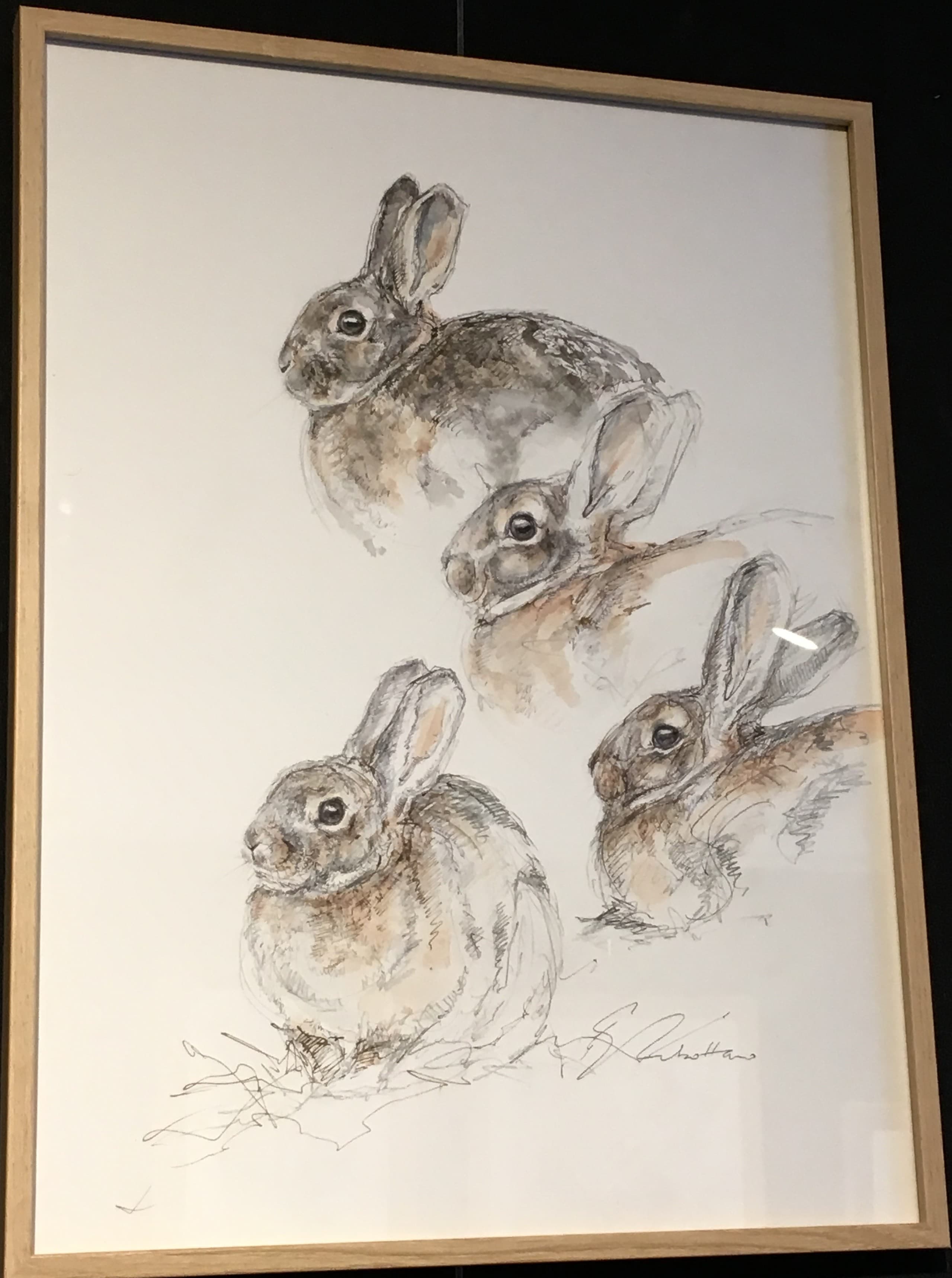 LAPINS (Etude)