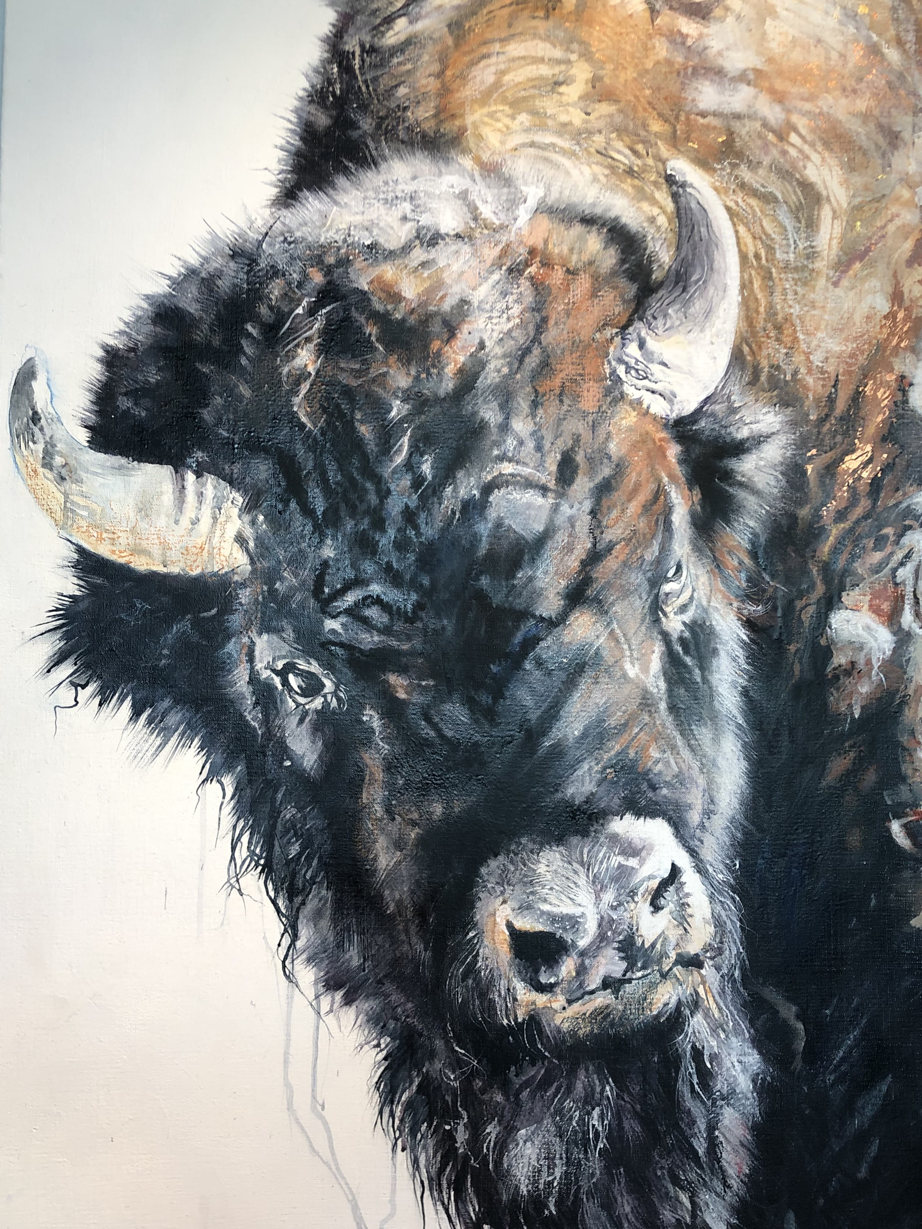 BISON AMERICAIN AVEC DES IDEES DE PRINTEMPS