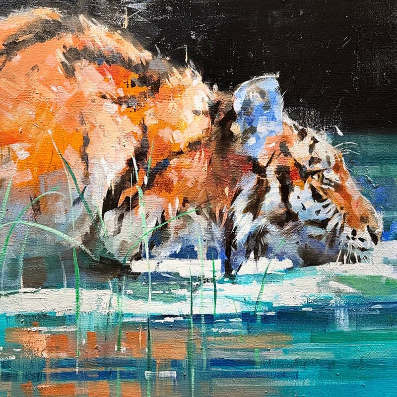 OBSERVATION (TIGRE)