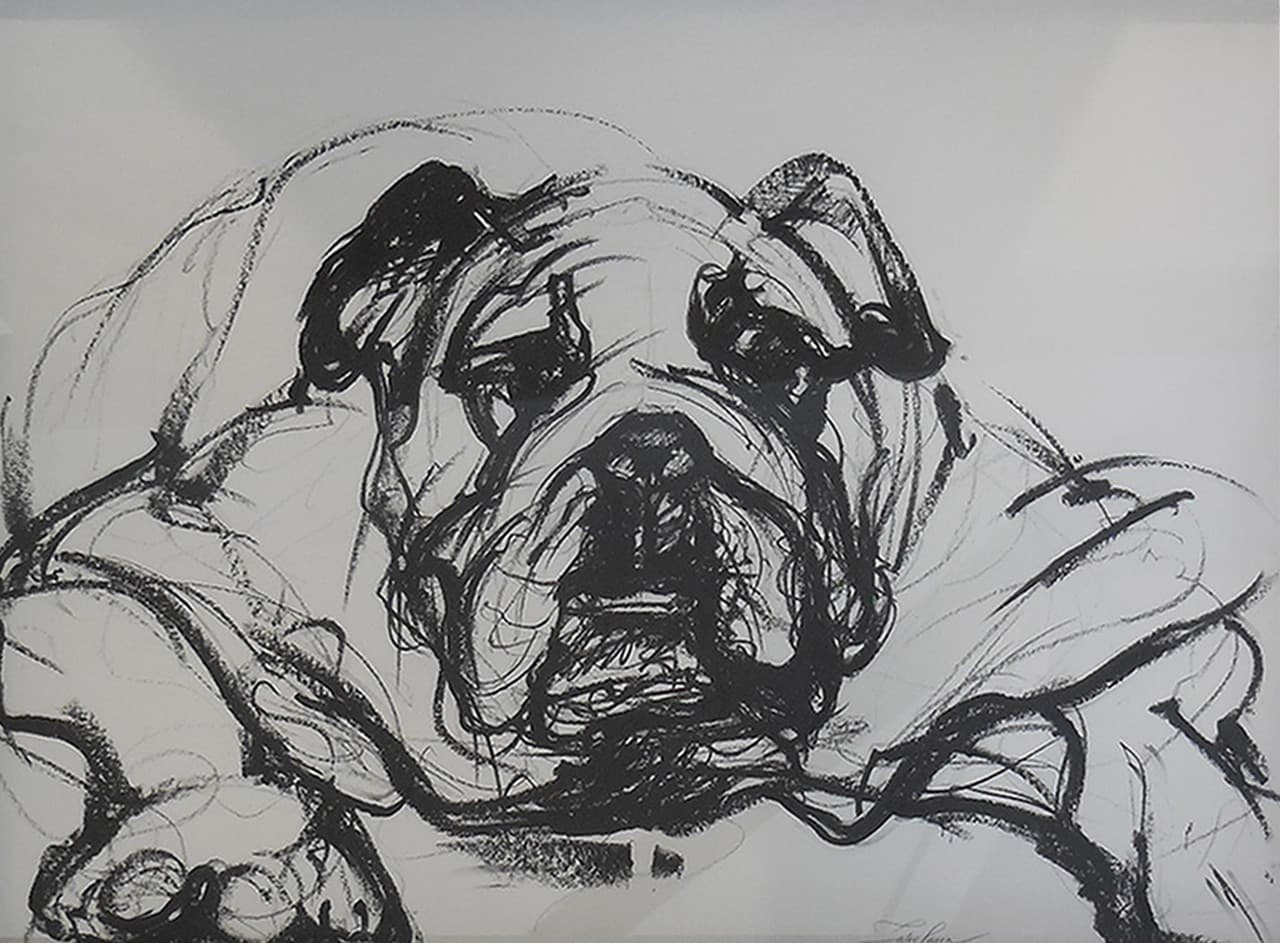BOULEDOGUE No2