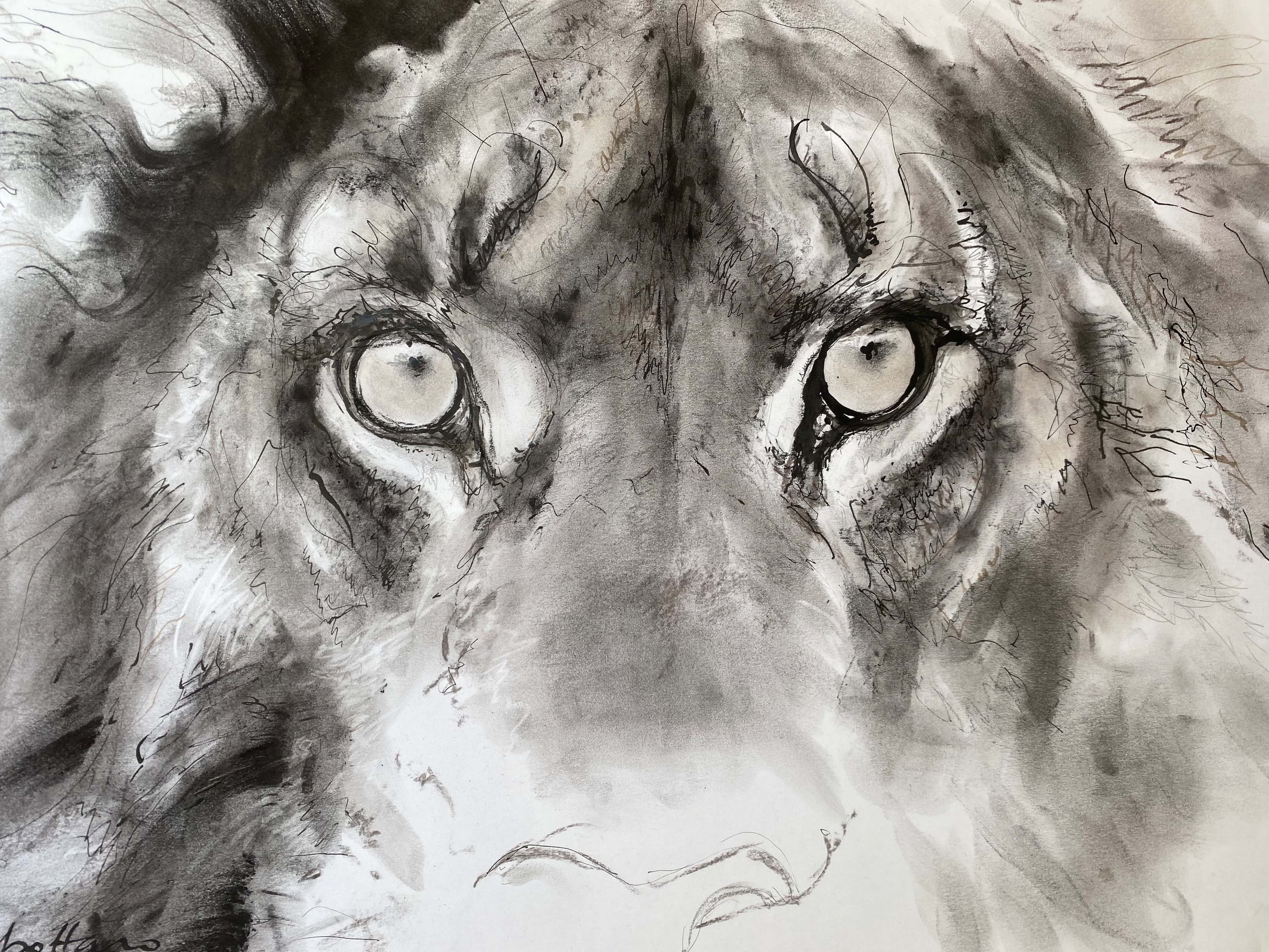 REGARD DE LION
