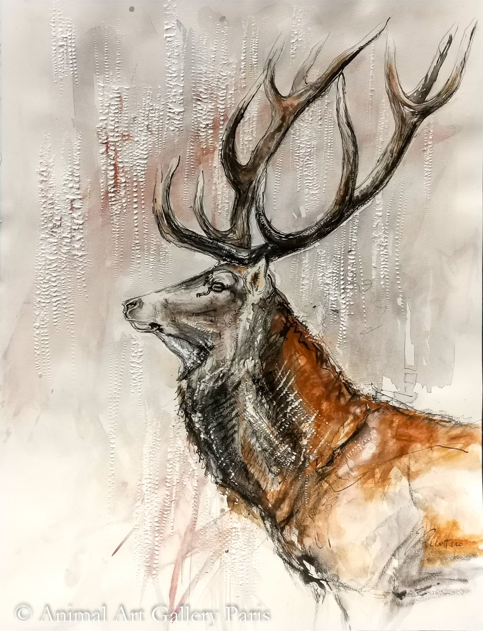 "LE ROUGE" (profil de cerf)