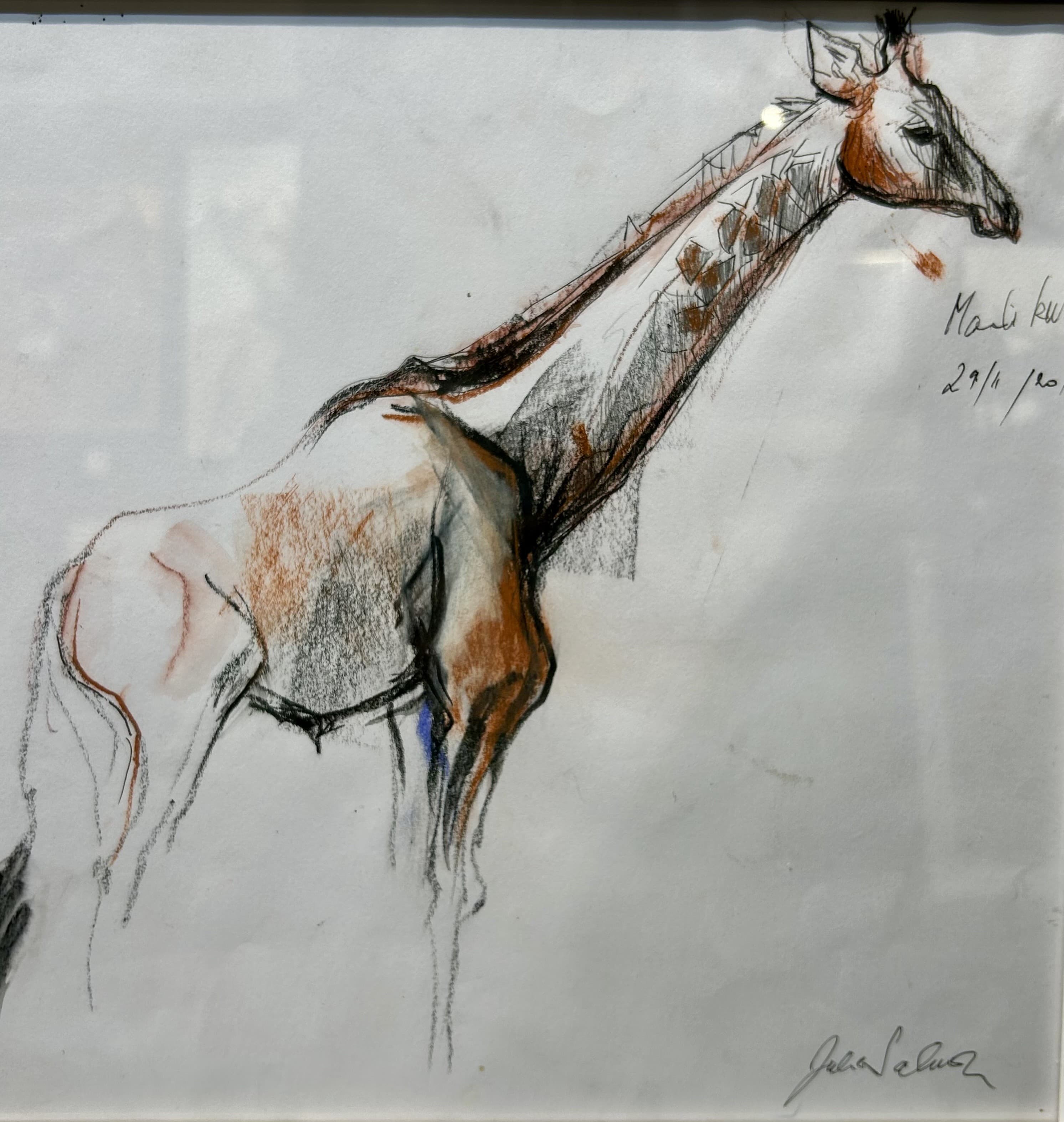 GIRAFE (croquis de terrain)