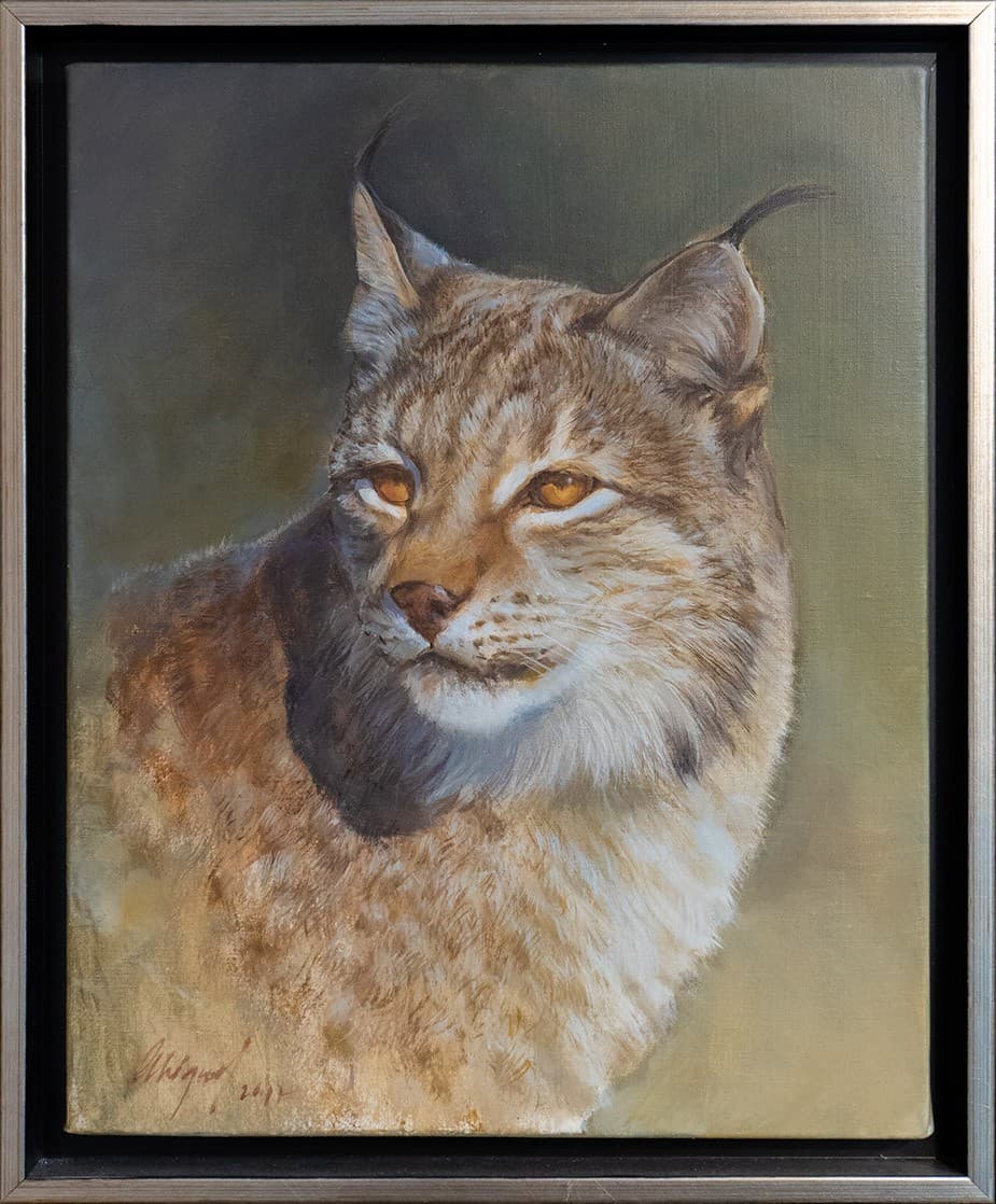 PORTRAIT DE LYNX
