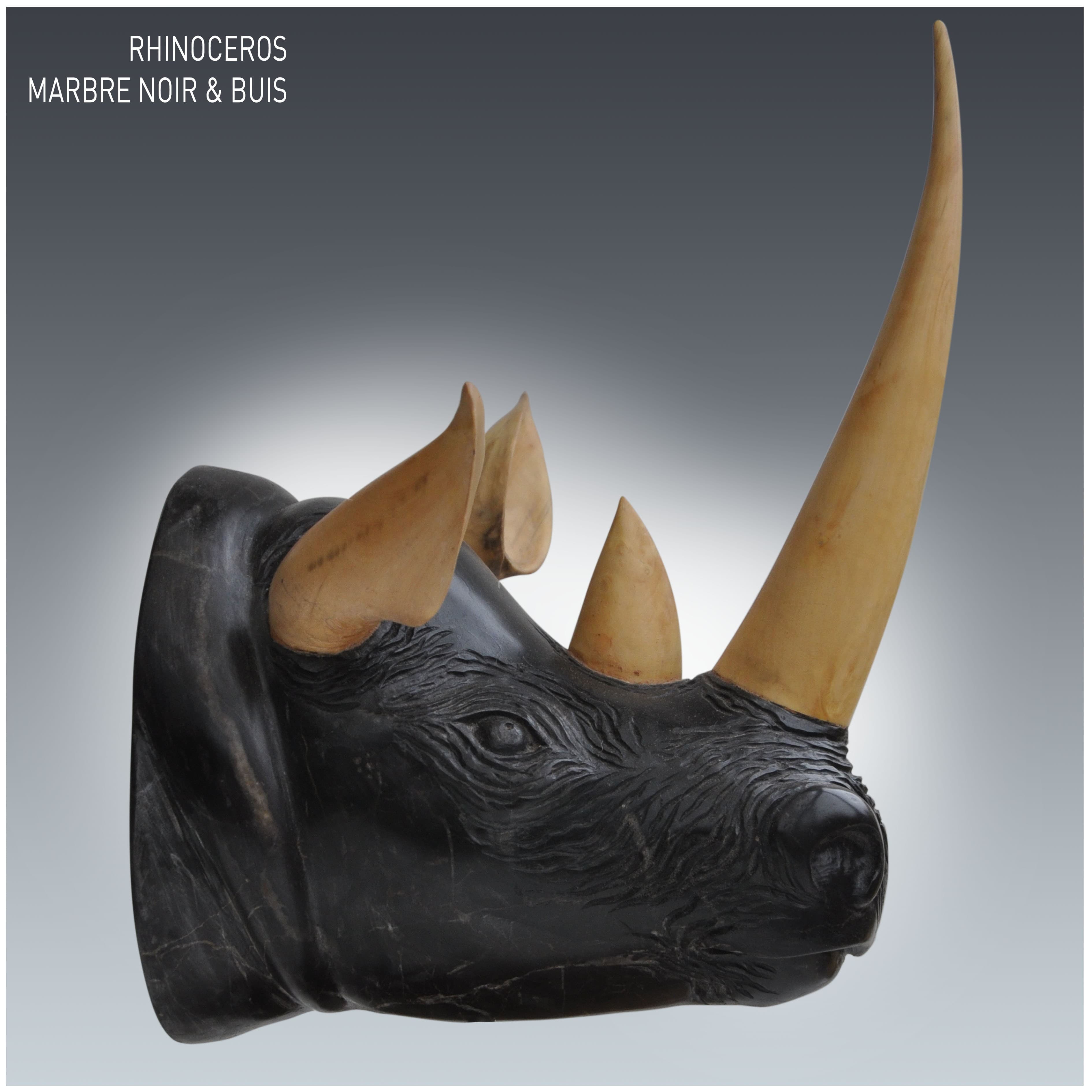 TETE DE RHINOCEROS