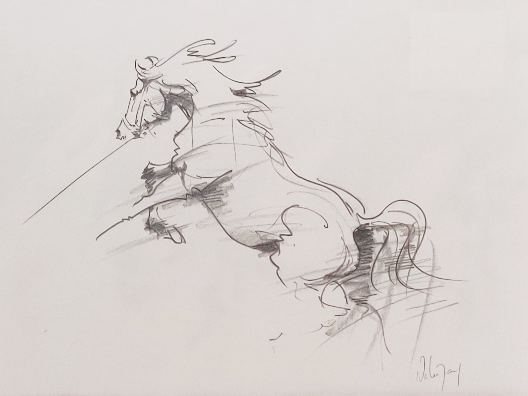 CHEVAL A LA LONGE