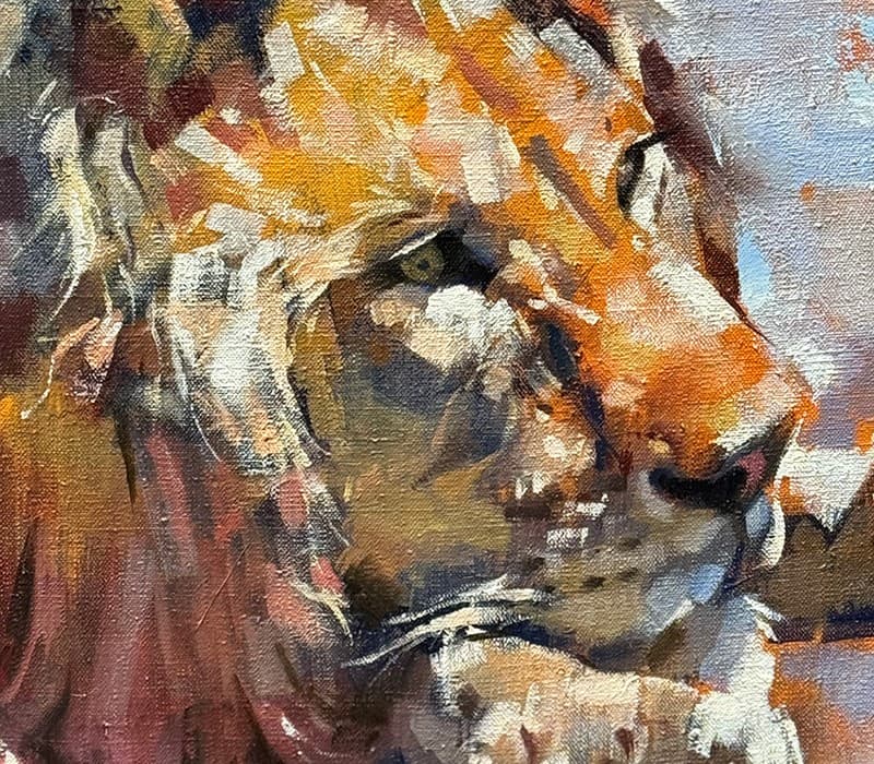 HÉROS AU REPOS (VIEUX LION MÂLE)