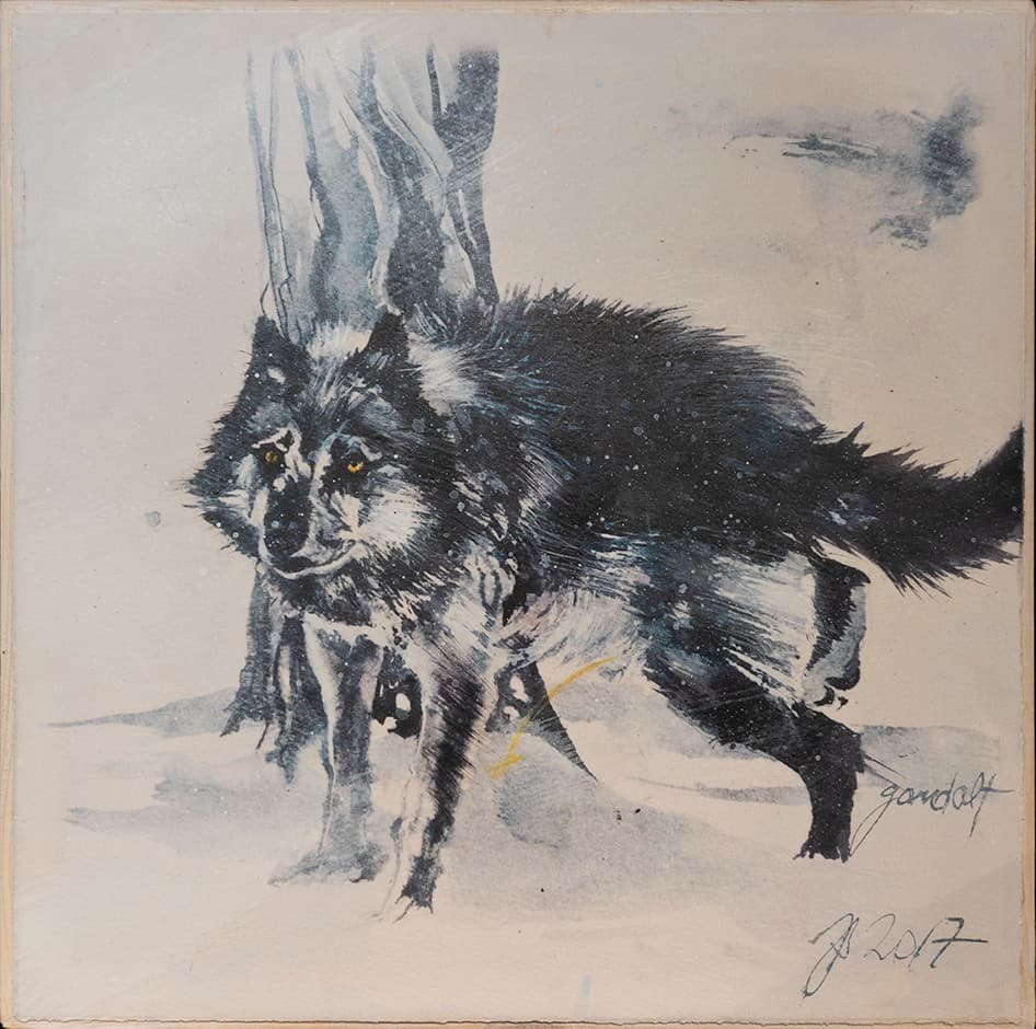 MARQUAGE TERRITORIAL (loup)
