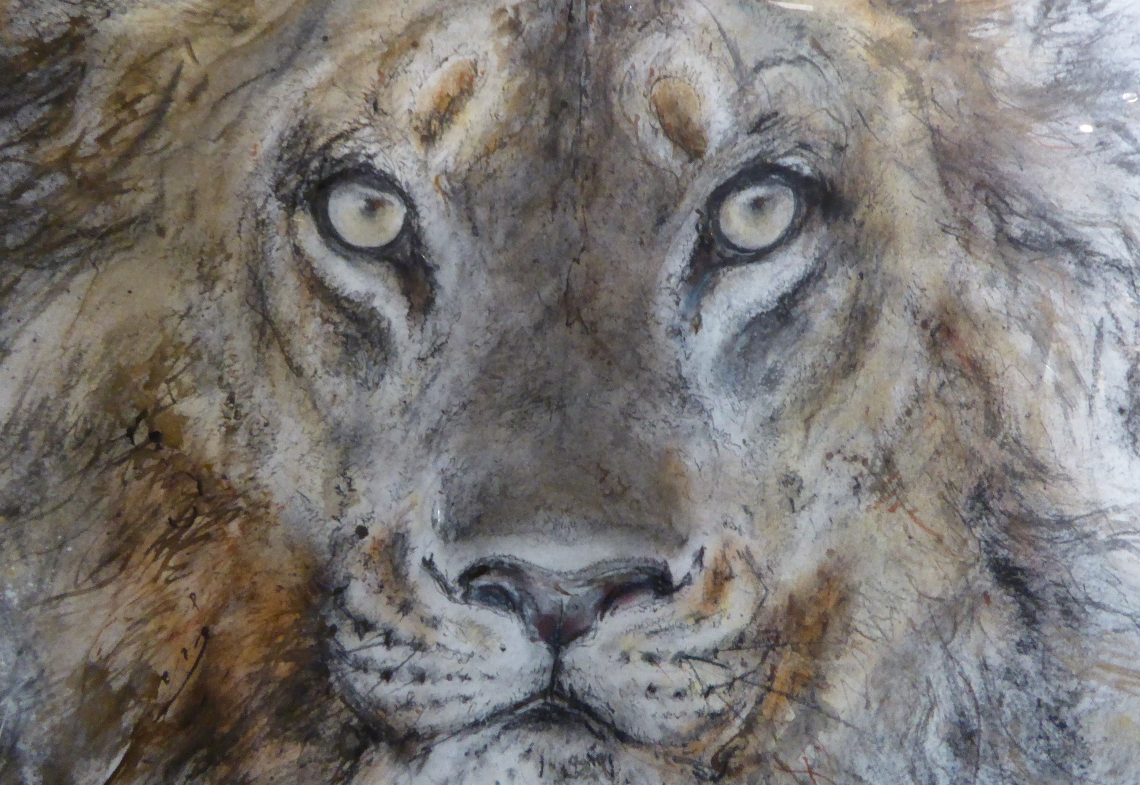 GRAND LION (Prometteur)