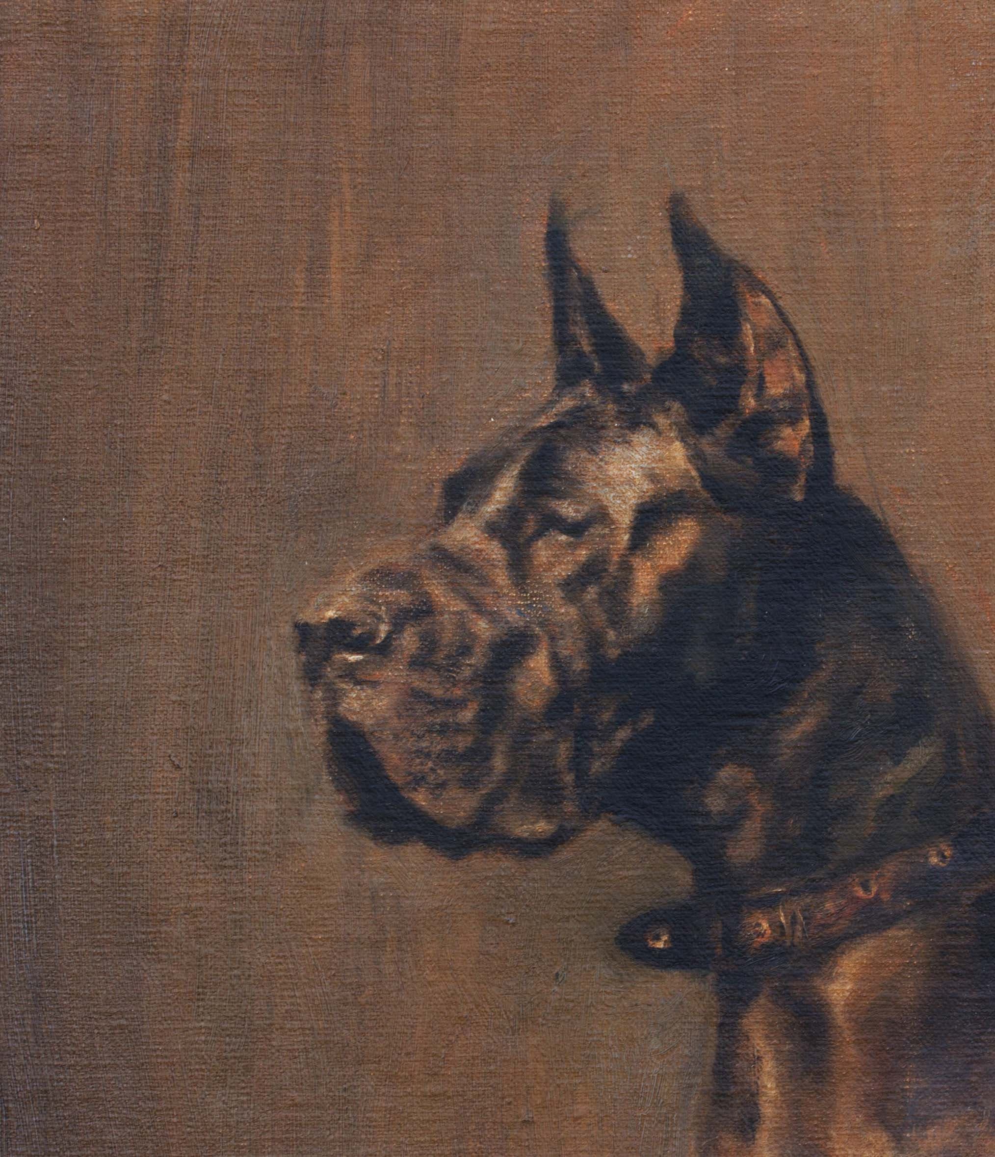 DOGUE ALLEMAND N°2 (chien)