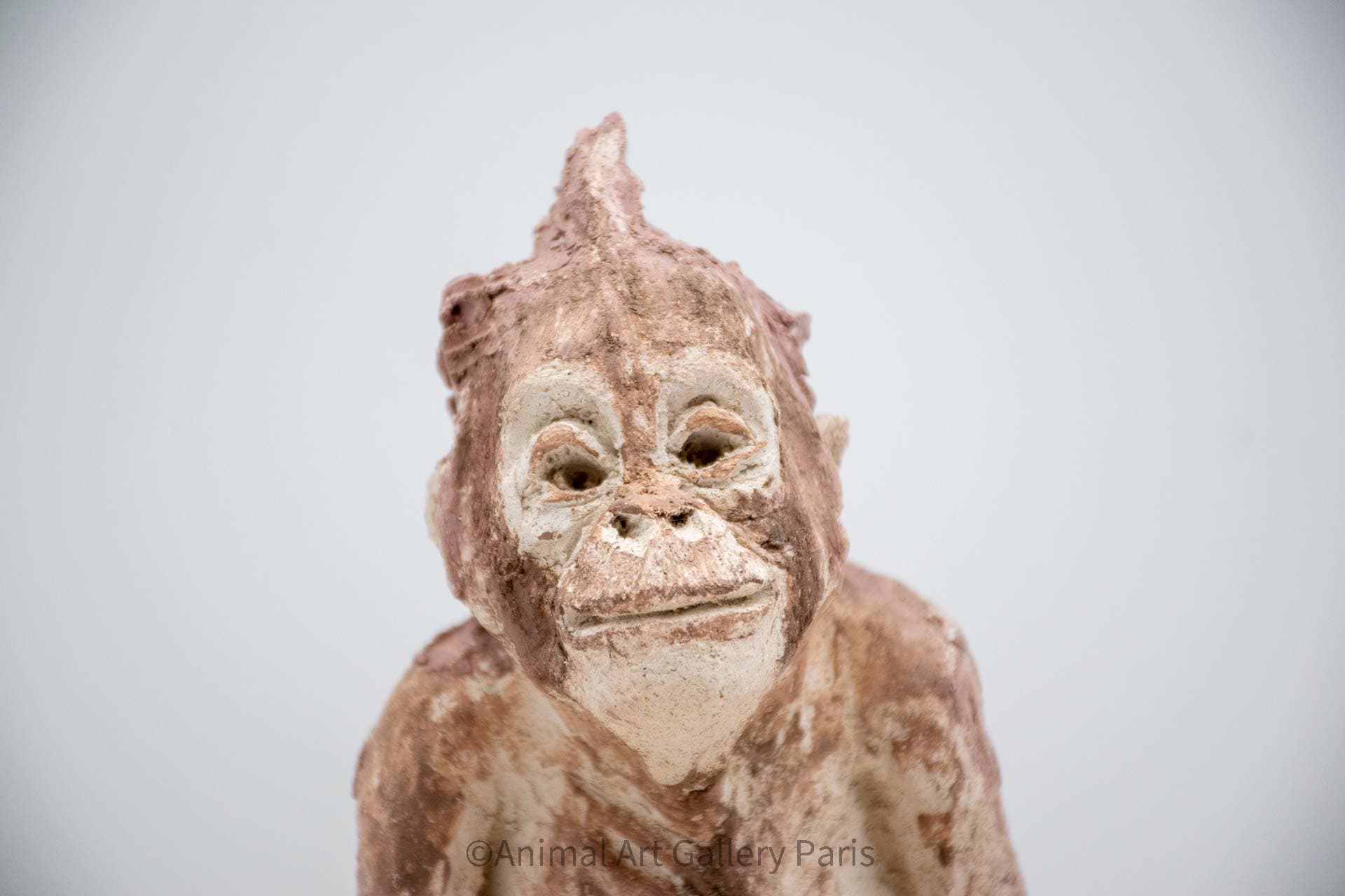 ORANG-OUTAN