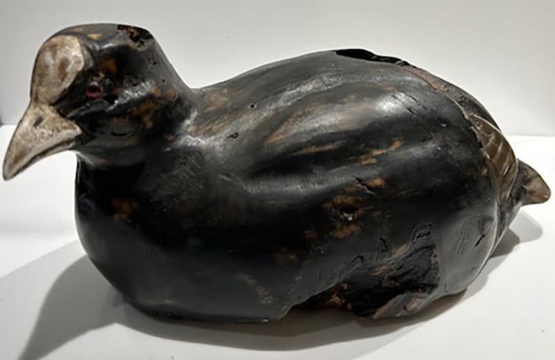 FOULQUE MACROULE (racine de noyer)
