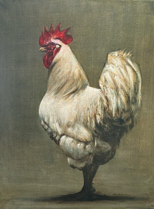 COQ BLANC