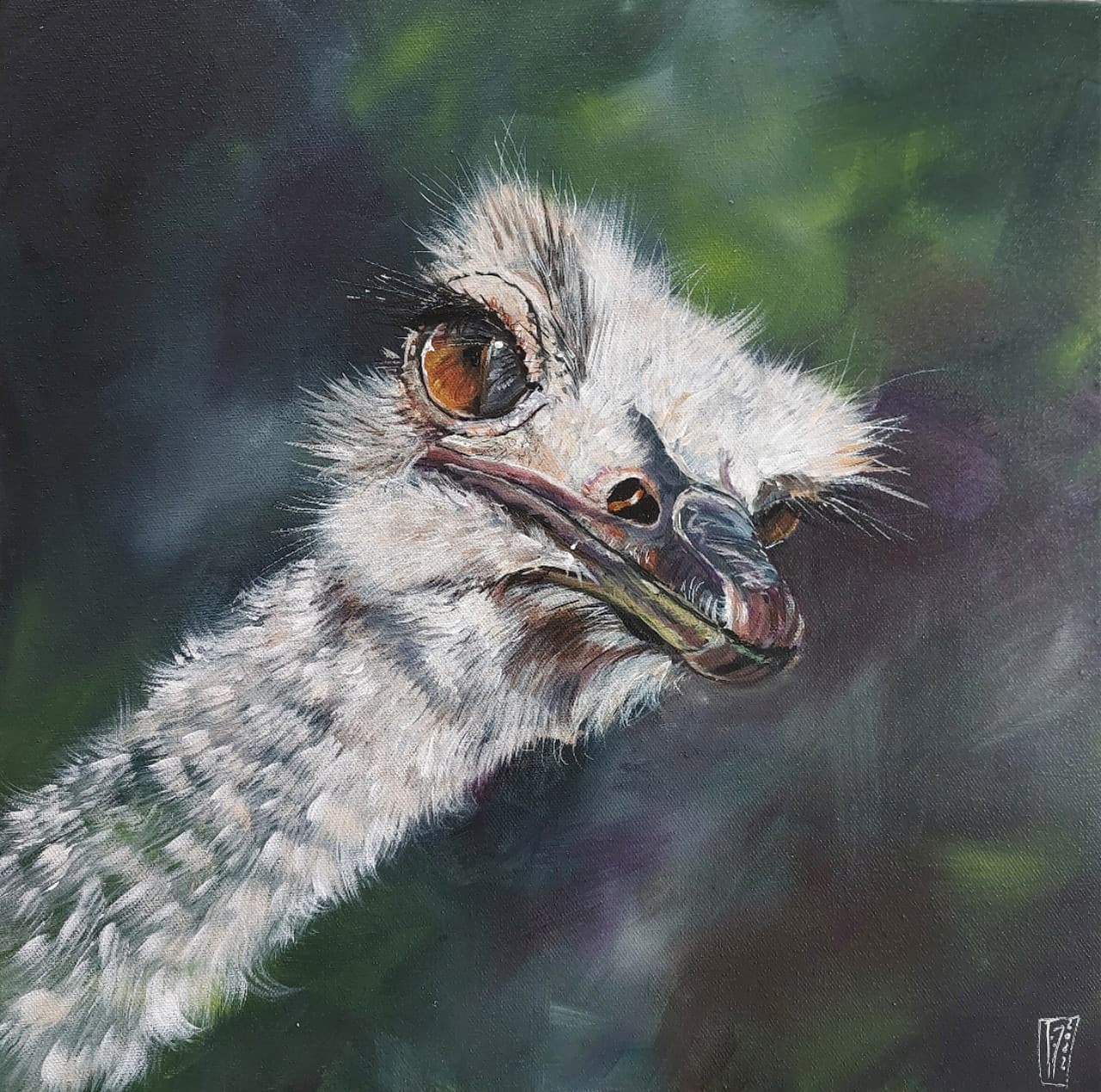 CURIEUSE (Autruche)
