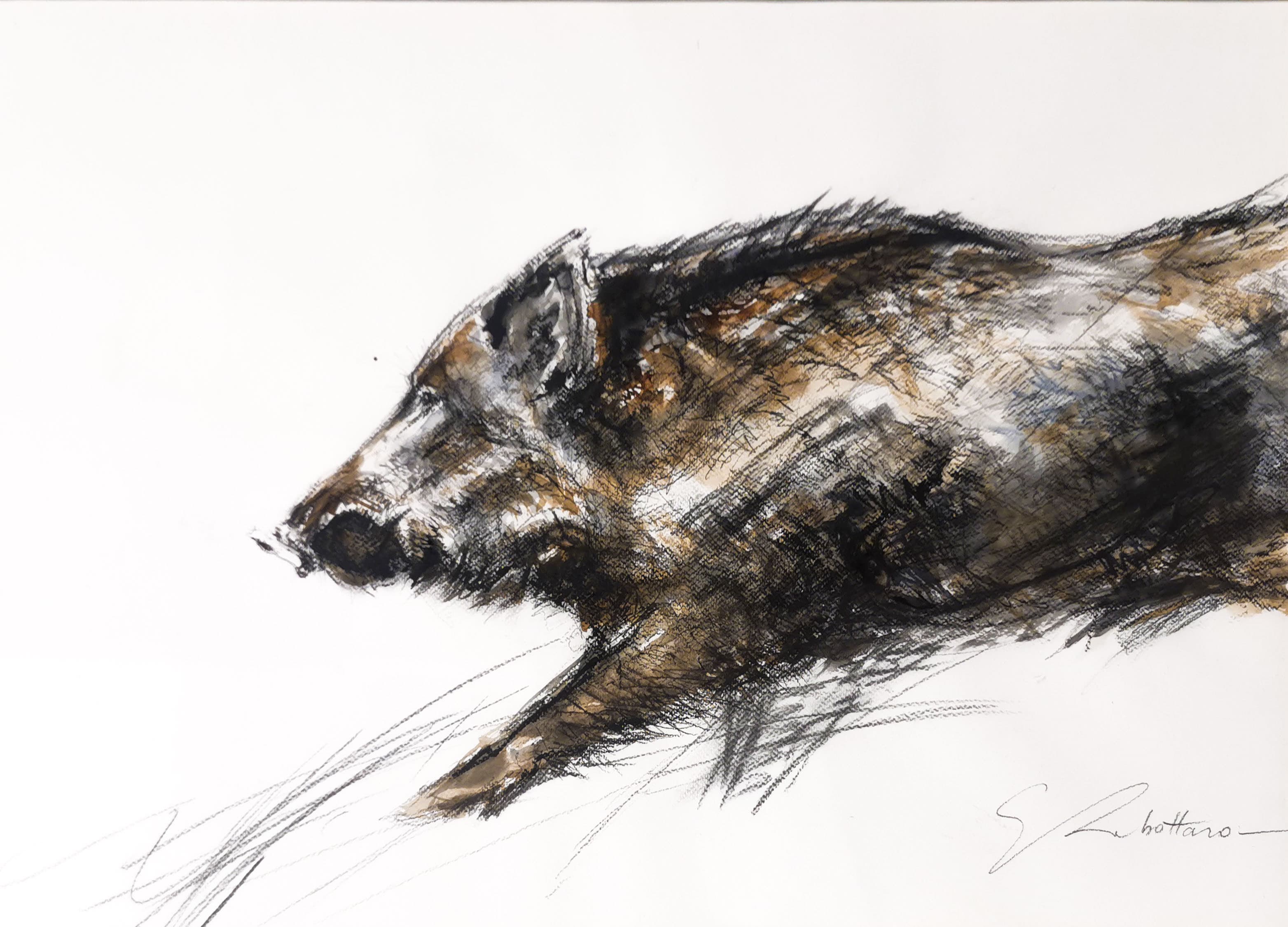 SANGLIER AU BOND