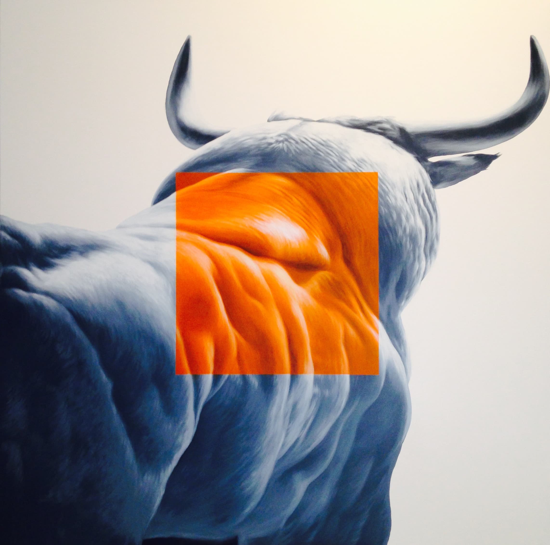 TORO DE CARONE (taureau de combat)