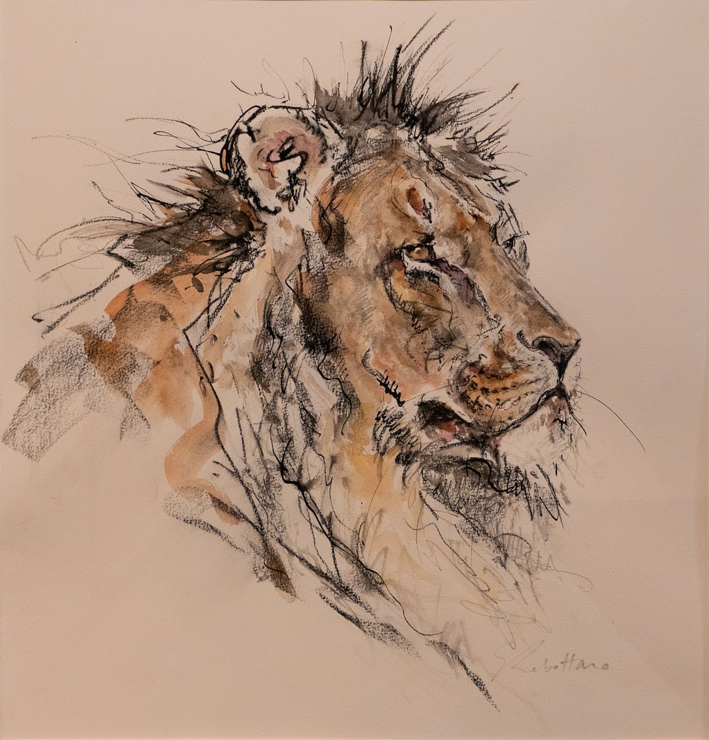 LION №4