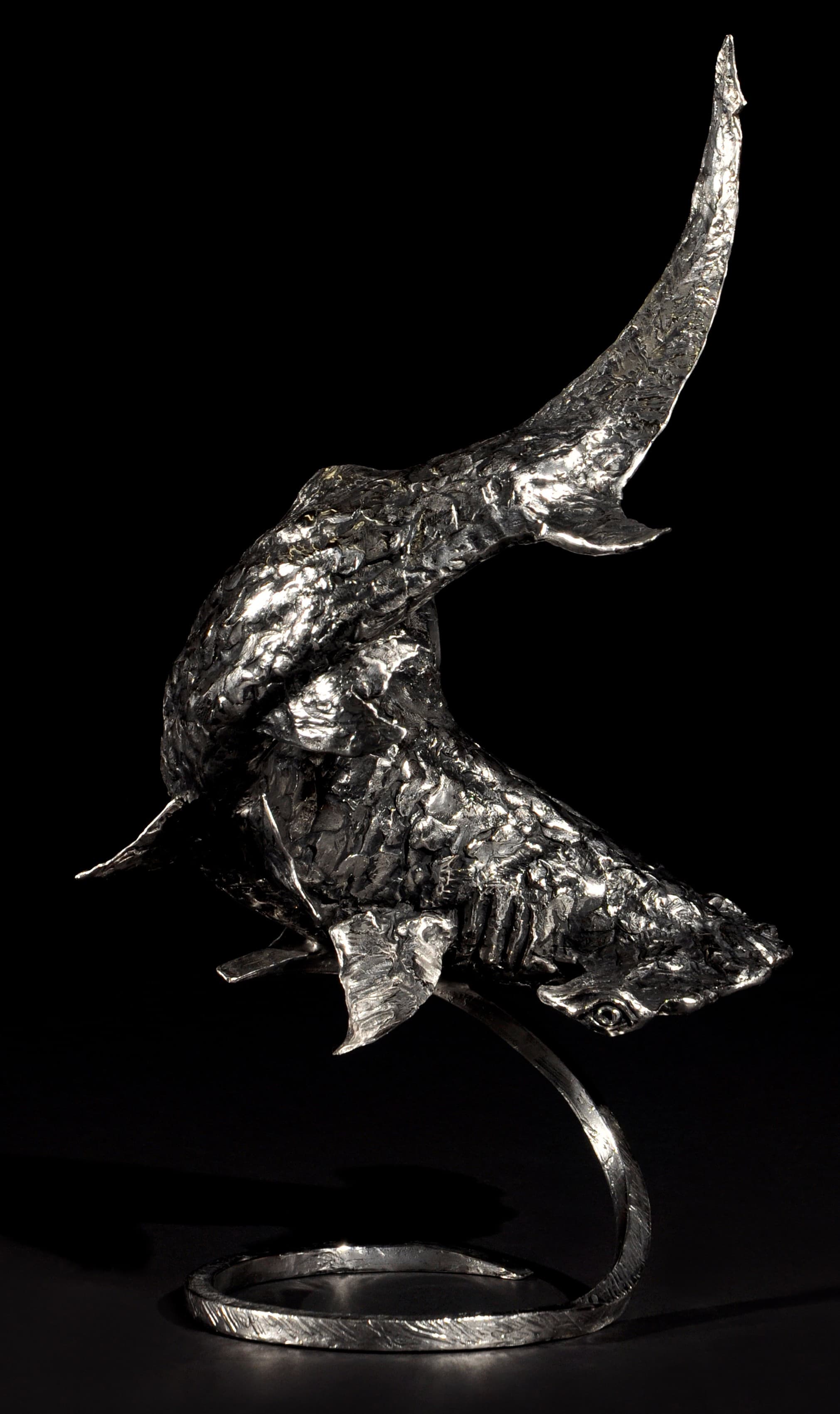 SPIRAL GLIDLE (requin marteau)