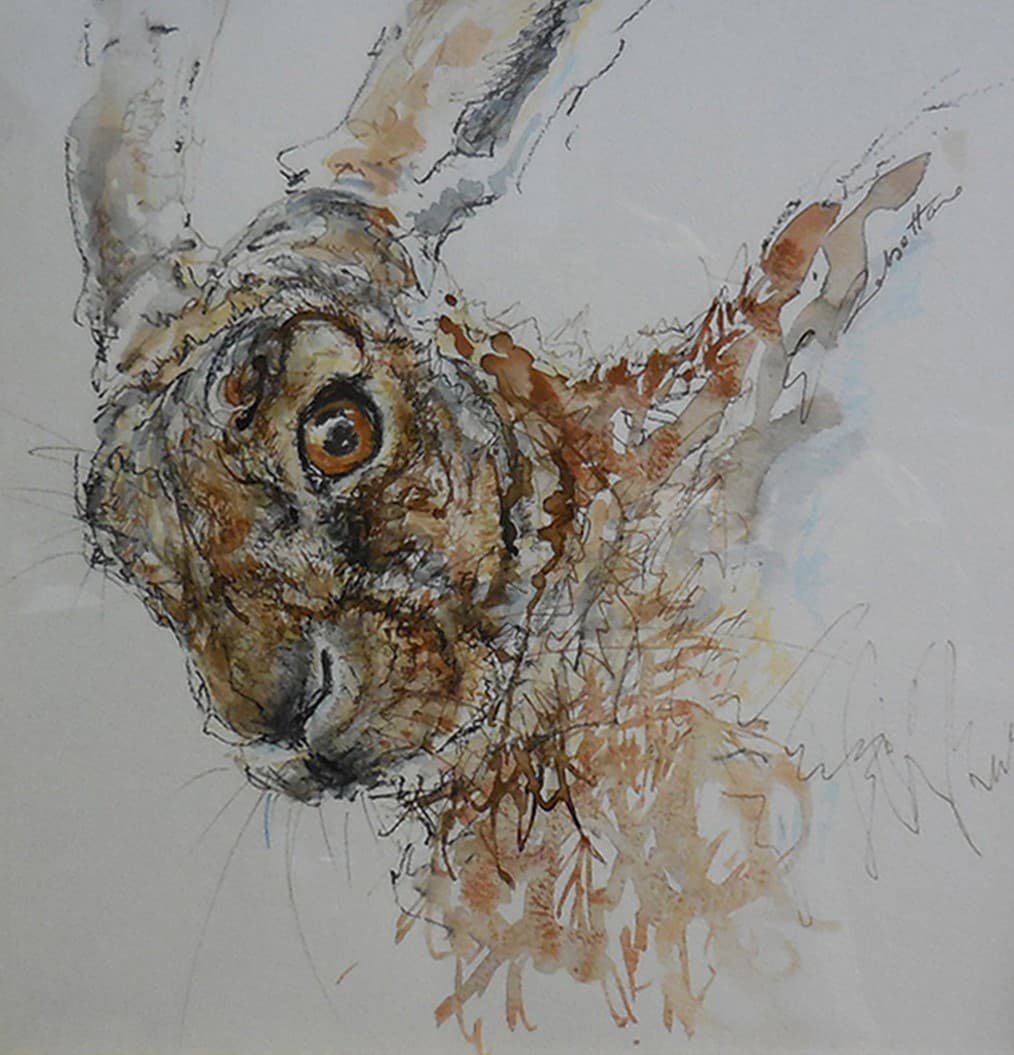 PORTRAIT DE LIEVRE №2
