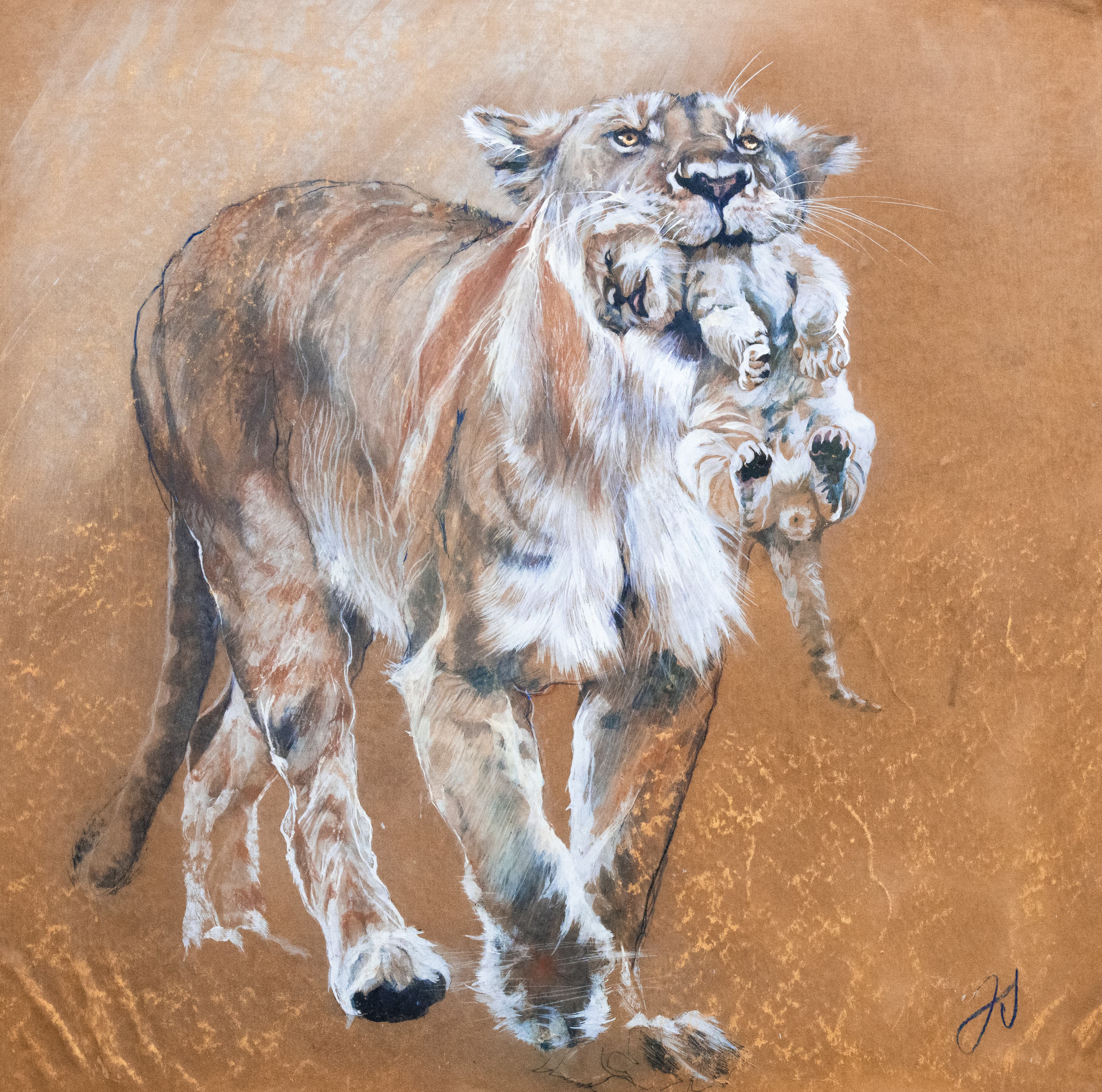 LA PRESENTATION (lionne, lionceau)