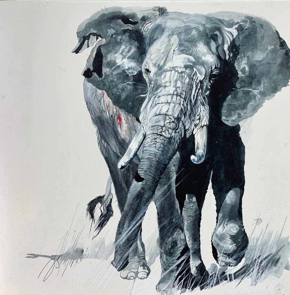 GRAND ELEPHANT MALE BLESSE