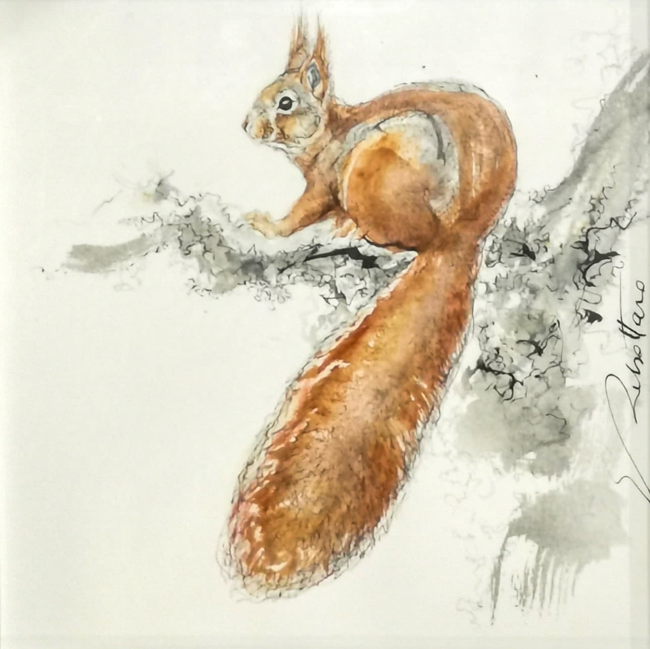 ECUREUIL №2