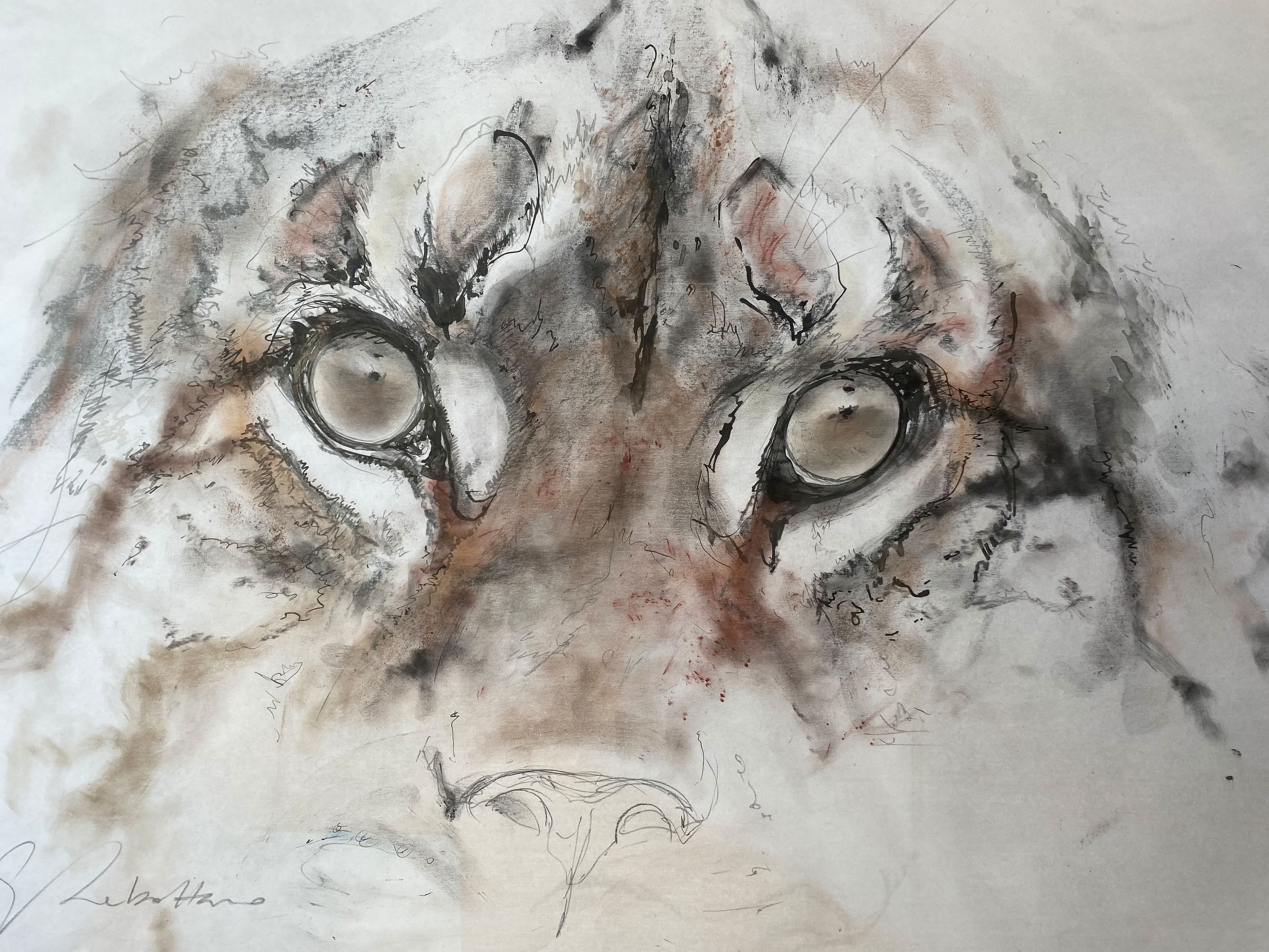 REGARD DE LYNX