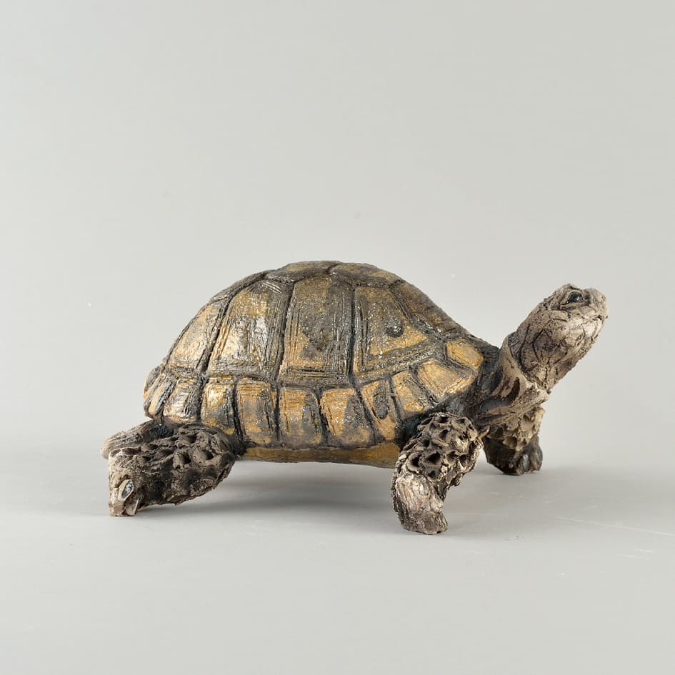 LA TORTUE D'HERMANN