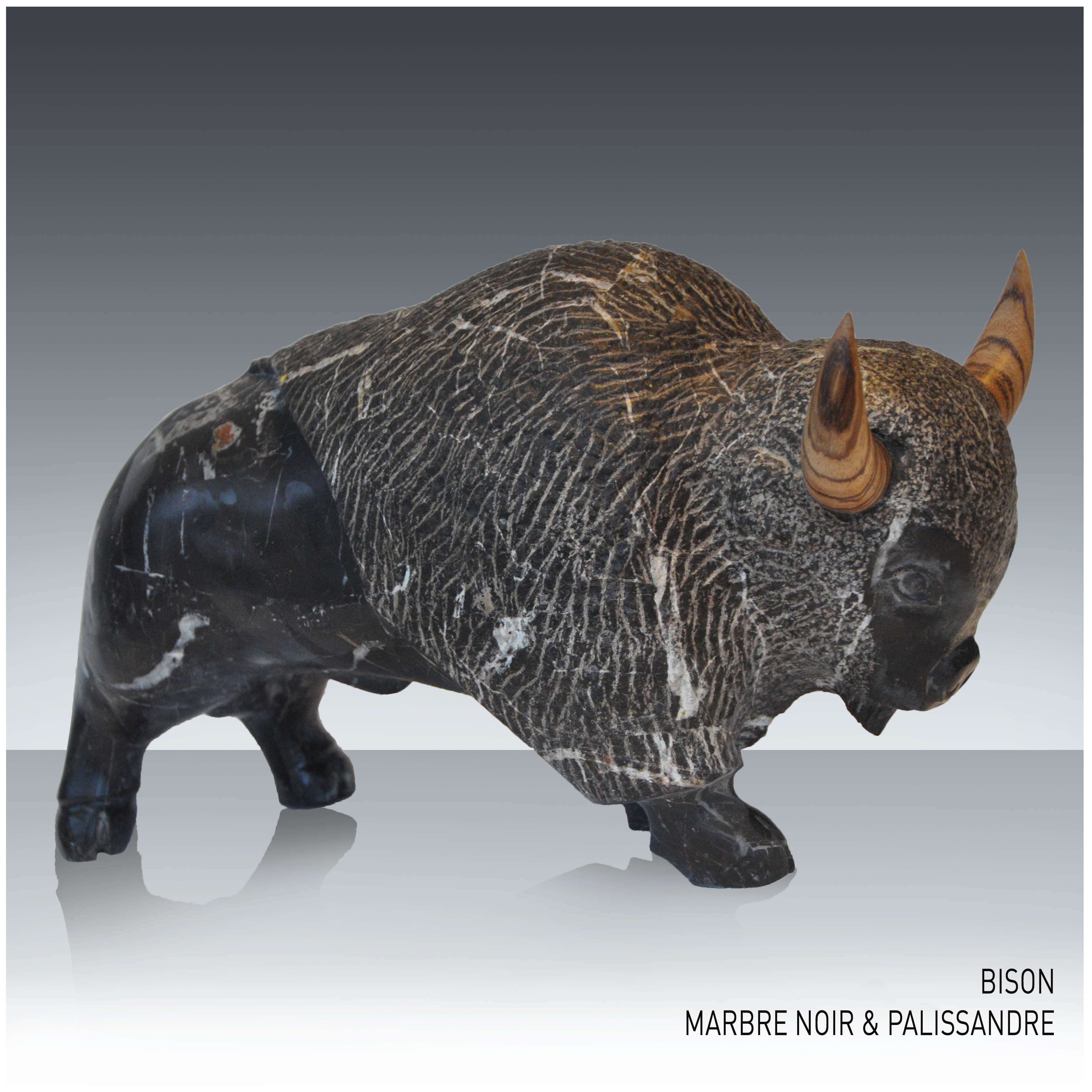 BISON