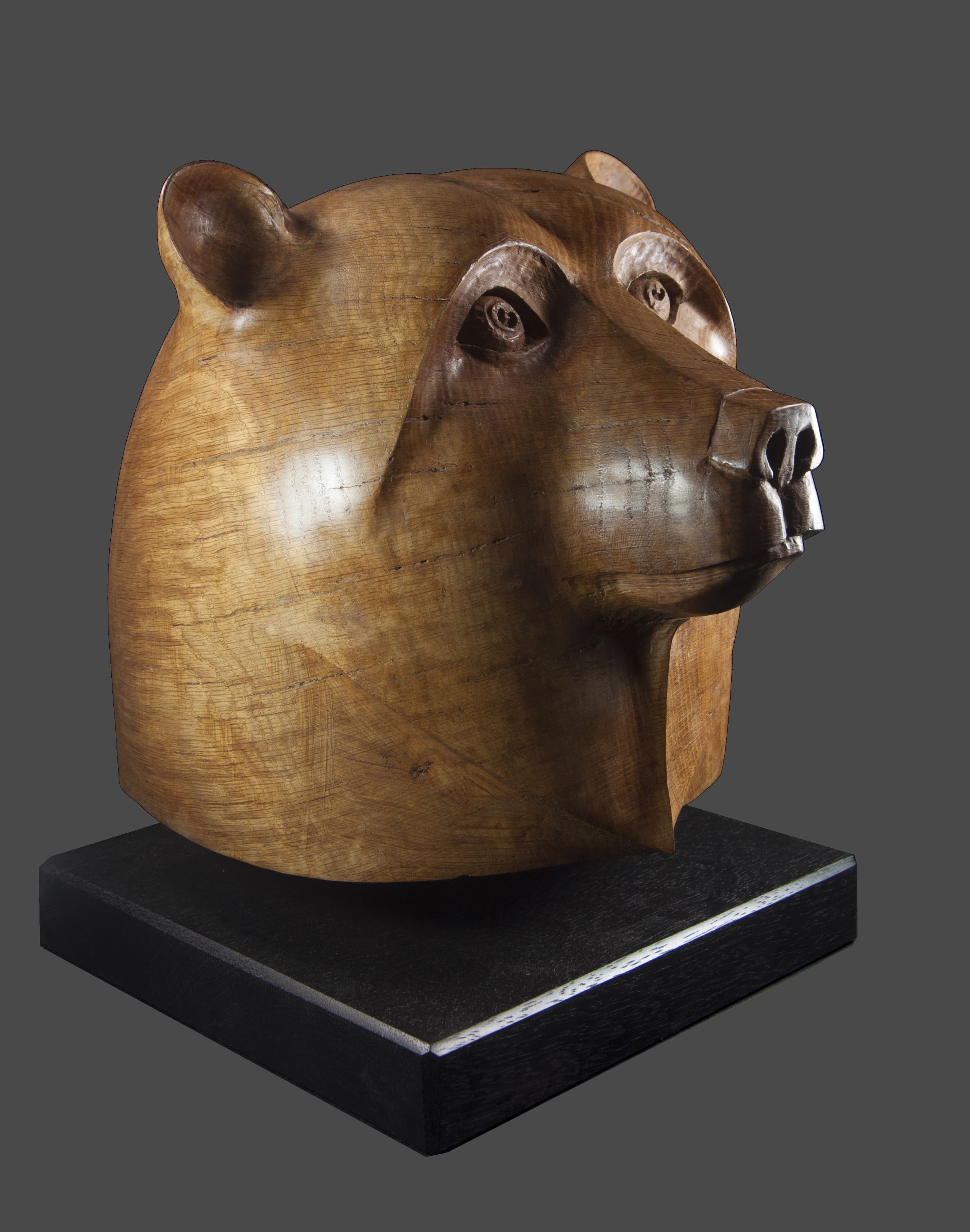 TETE D'OURS