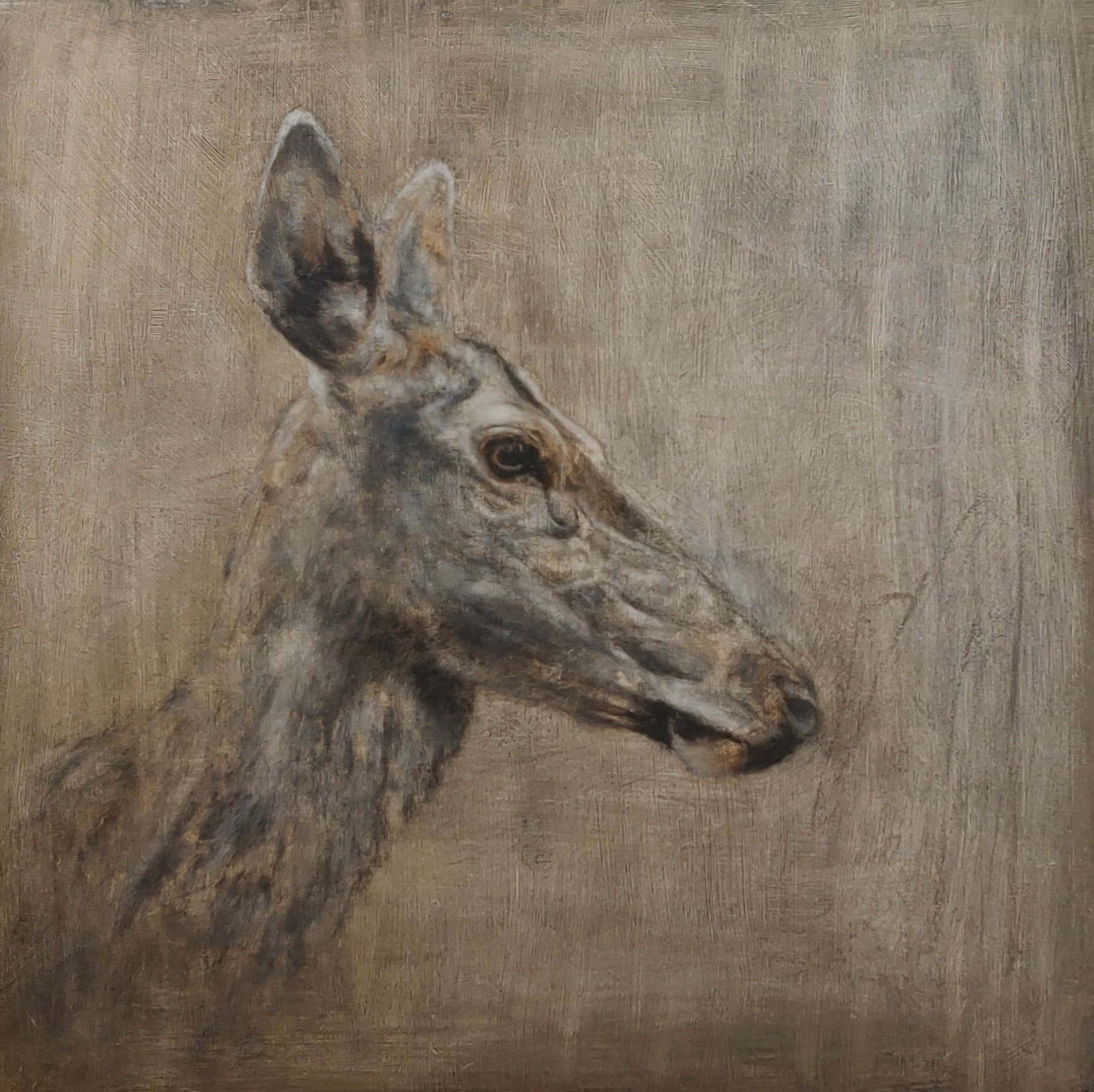 BICHE