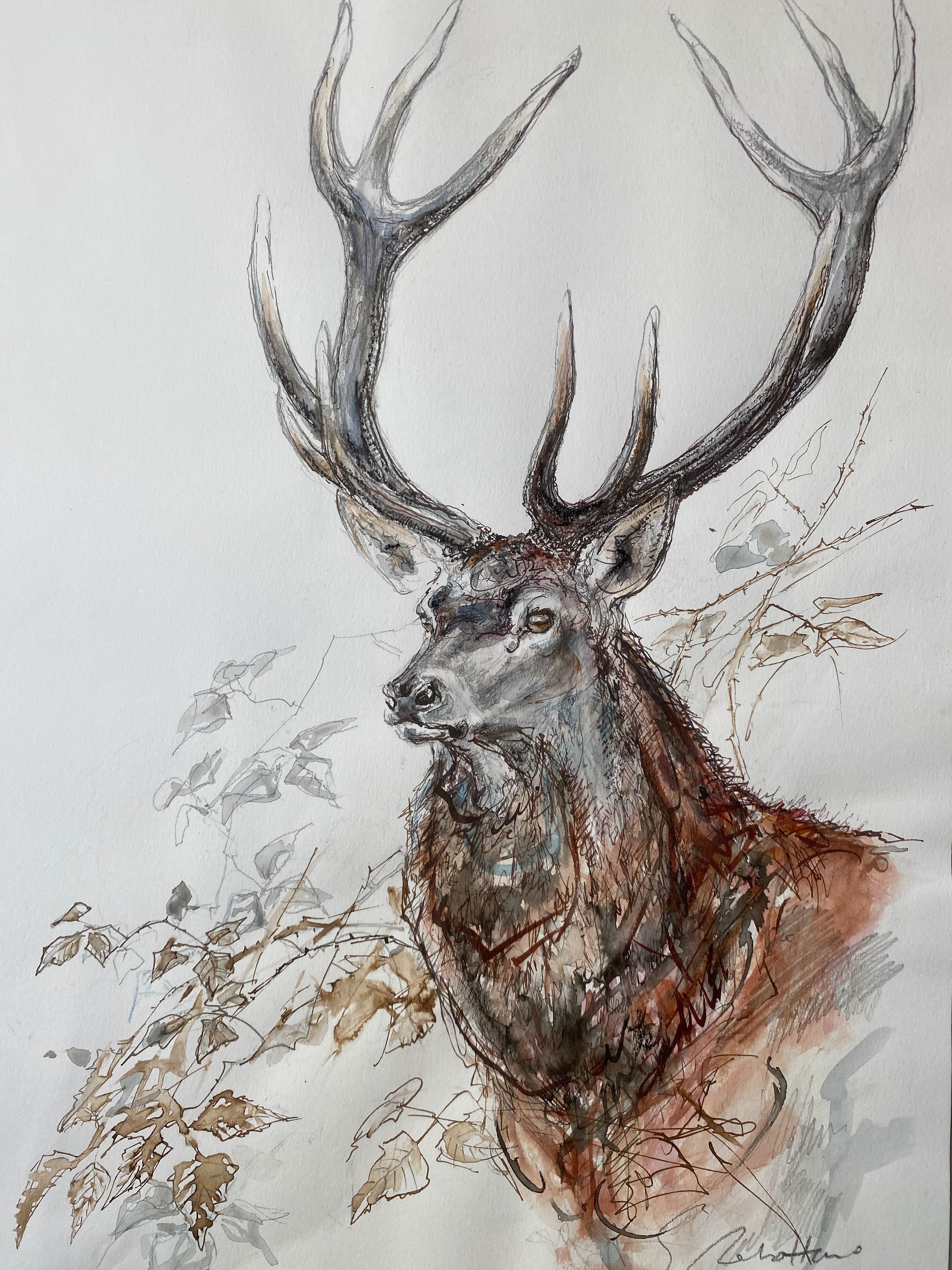 LE ROUGE (cerf dix-cors de Sologne)