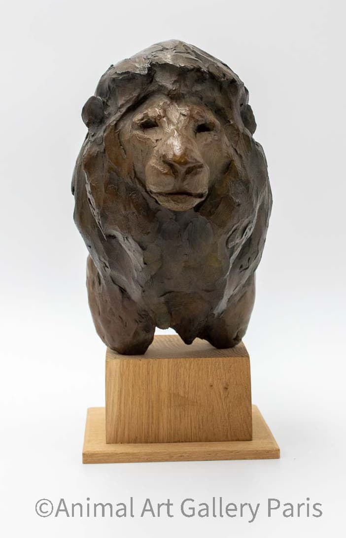 TETE DE LION
