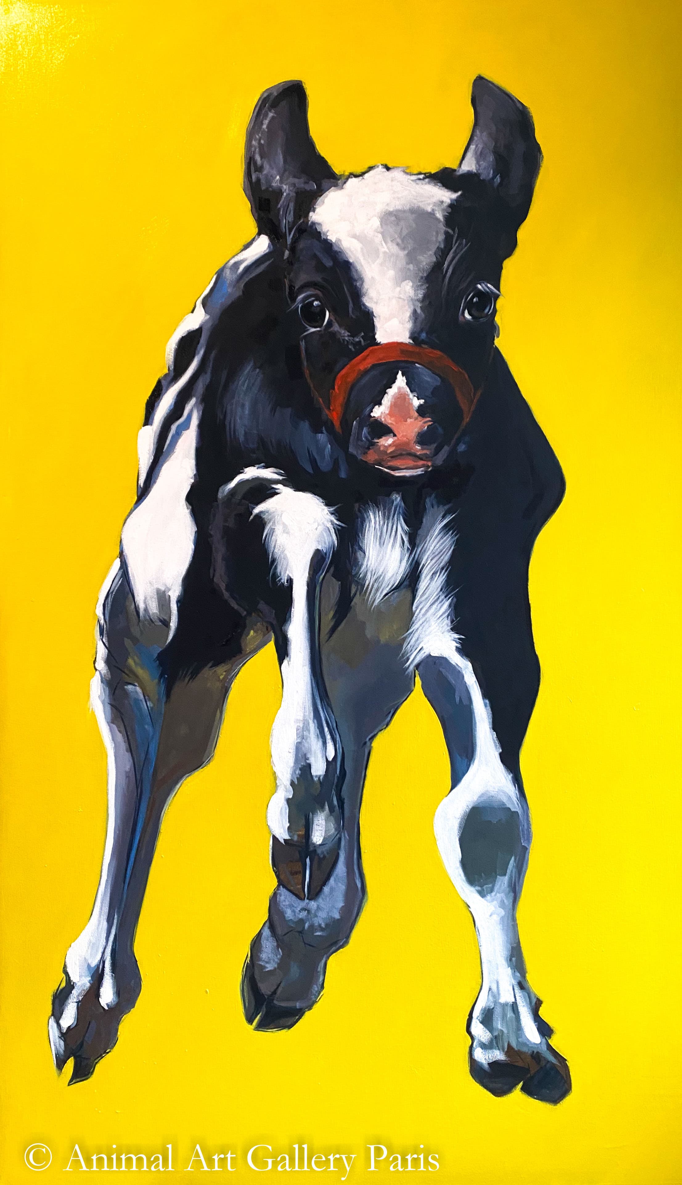 YELLOW CALF (Un veau)