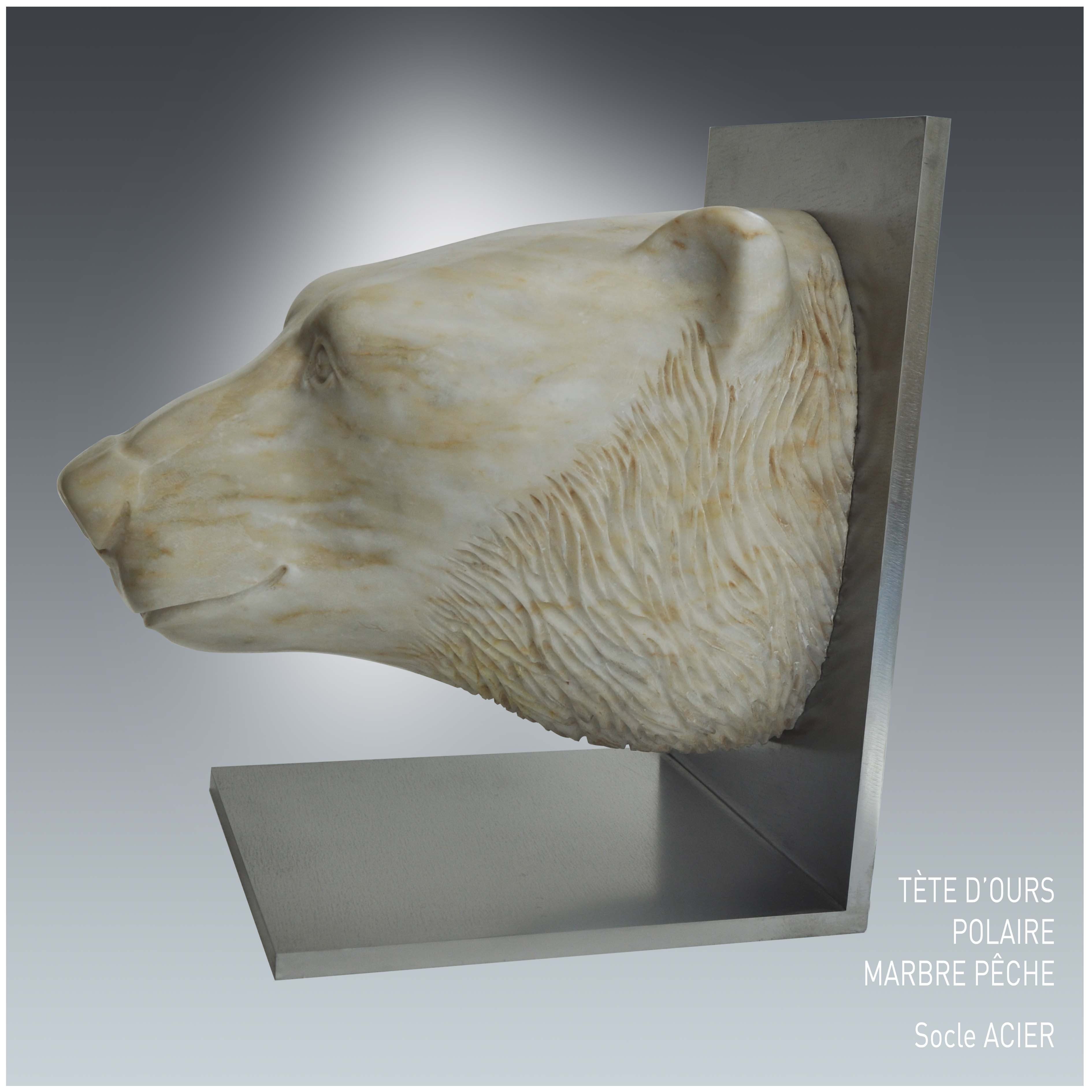 TETE D'OURS POLAIRE