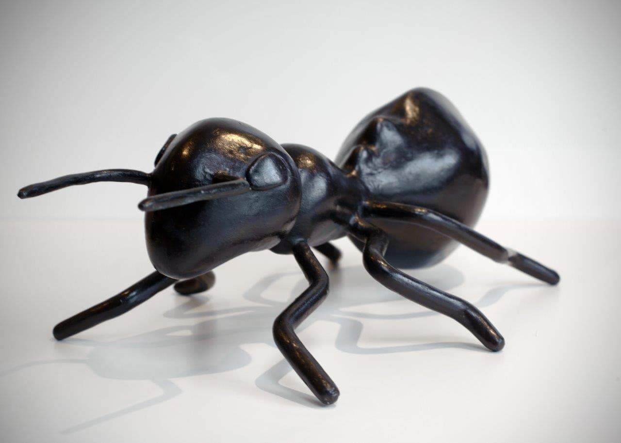 BLACK ANT