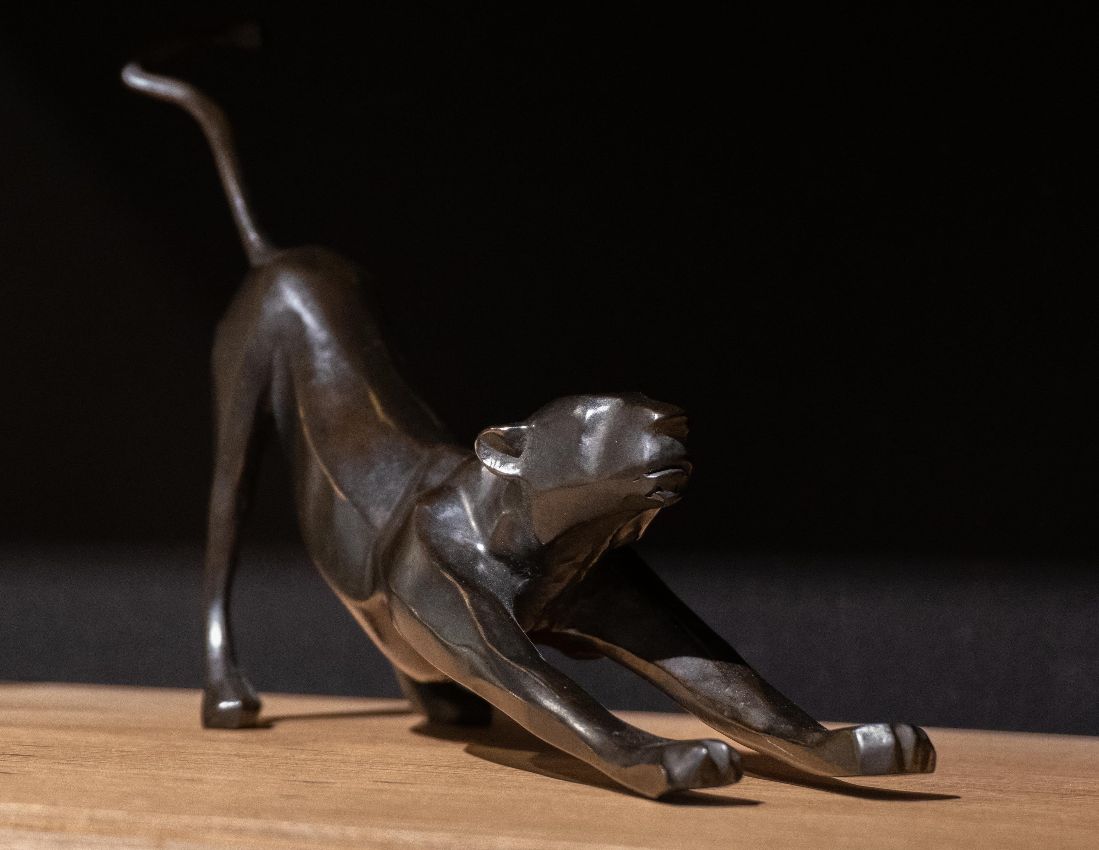 LIONNE S'ETIRANT