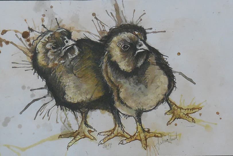 OISEAUX