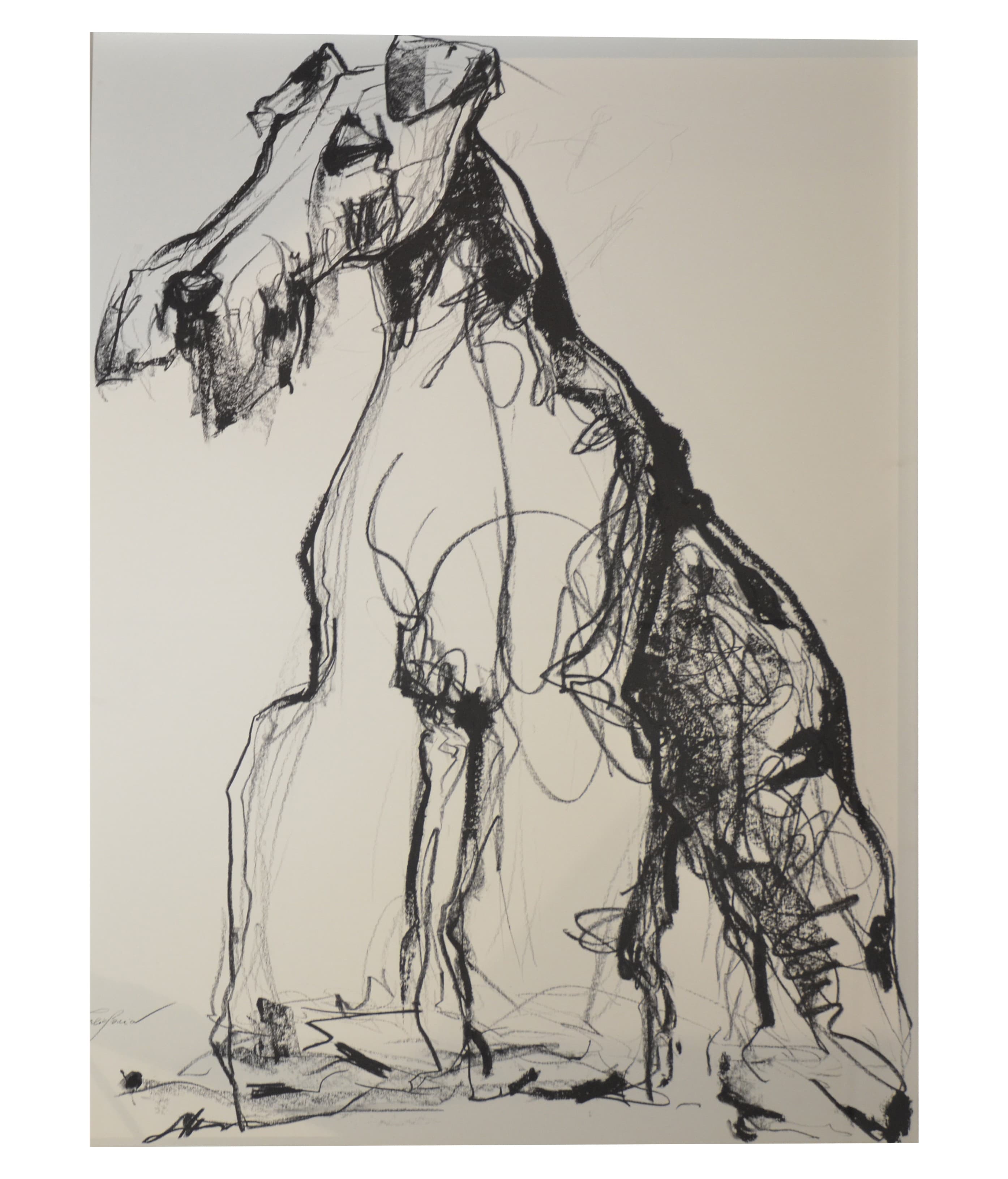 FOX TERRIER