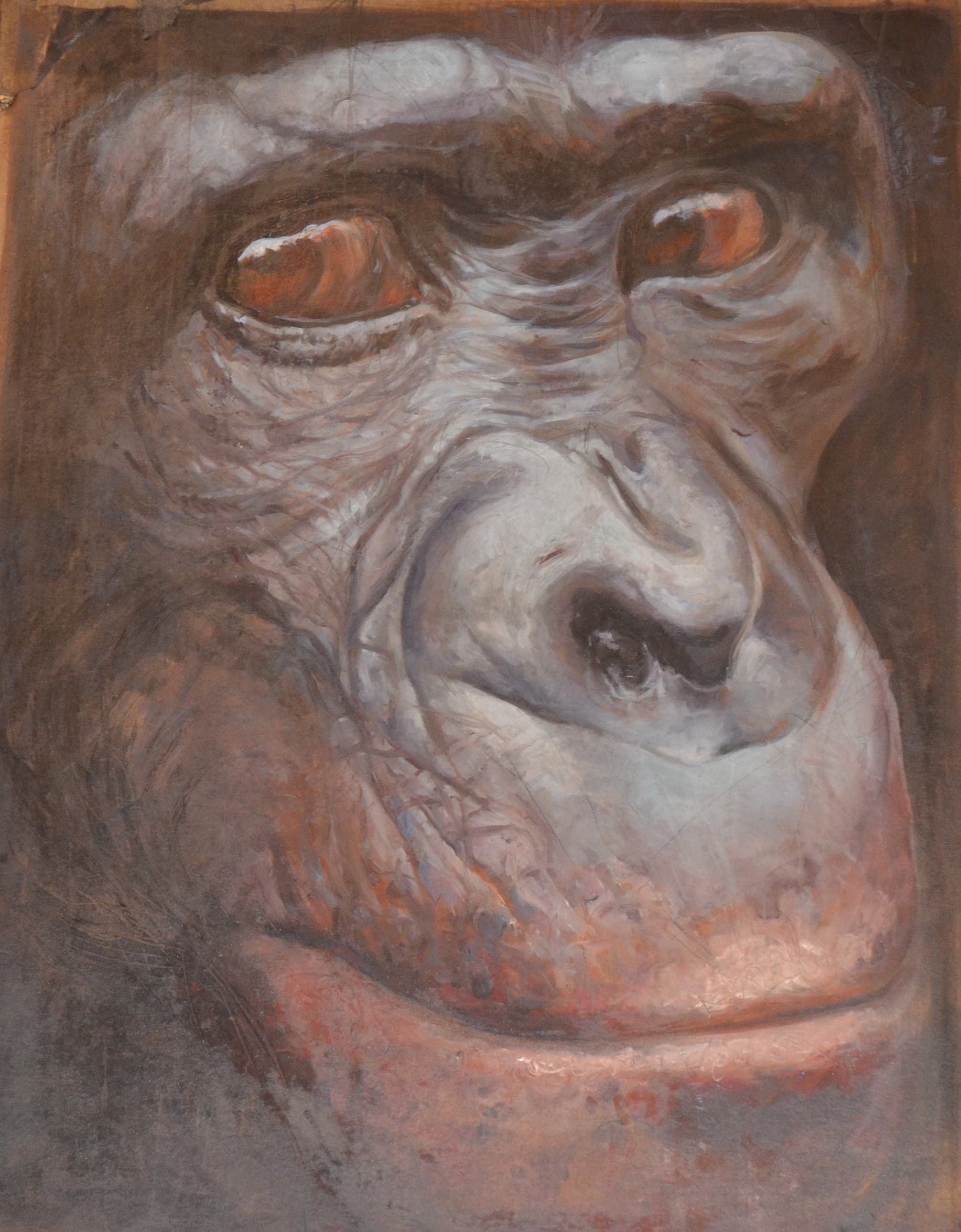 Chimpanzé