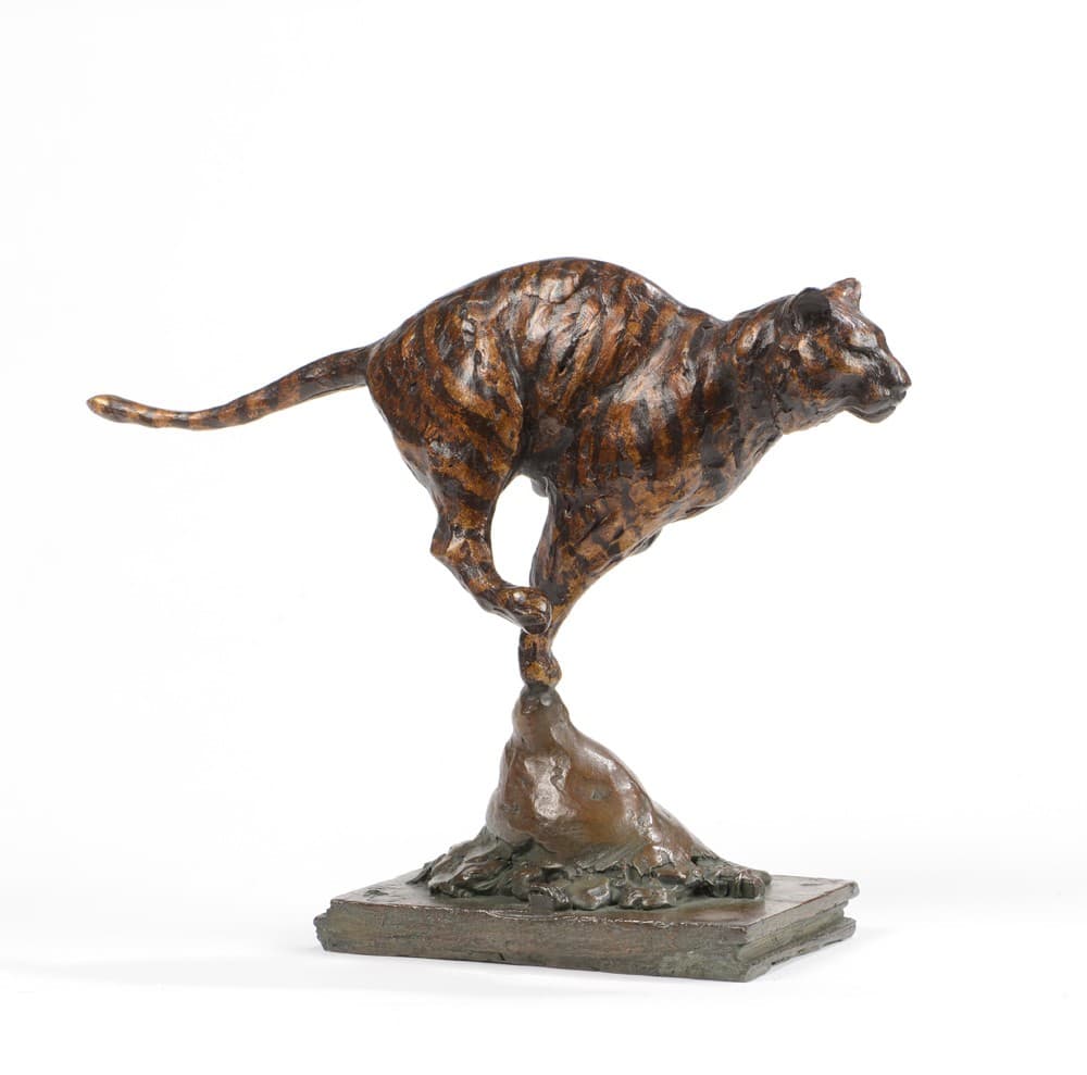 PETIT TIGRE AU GALOP