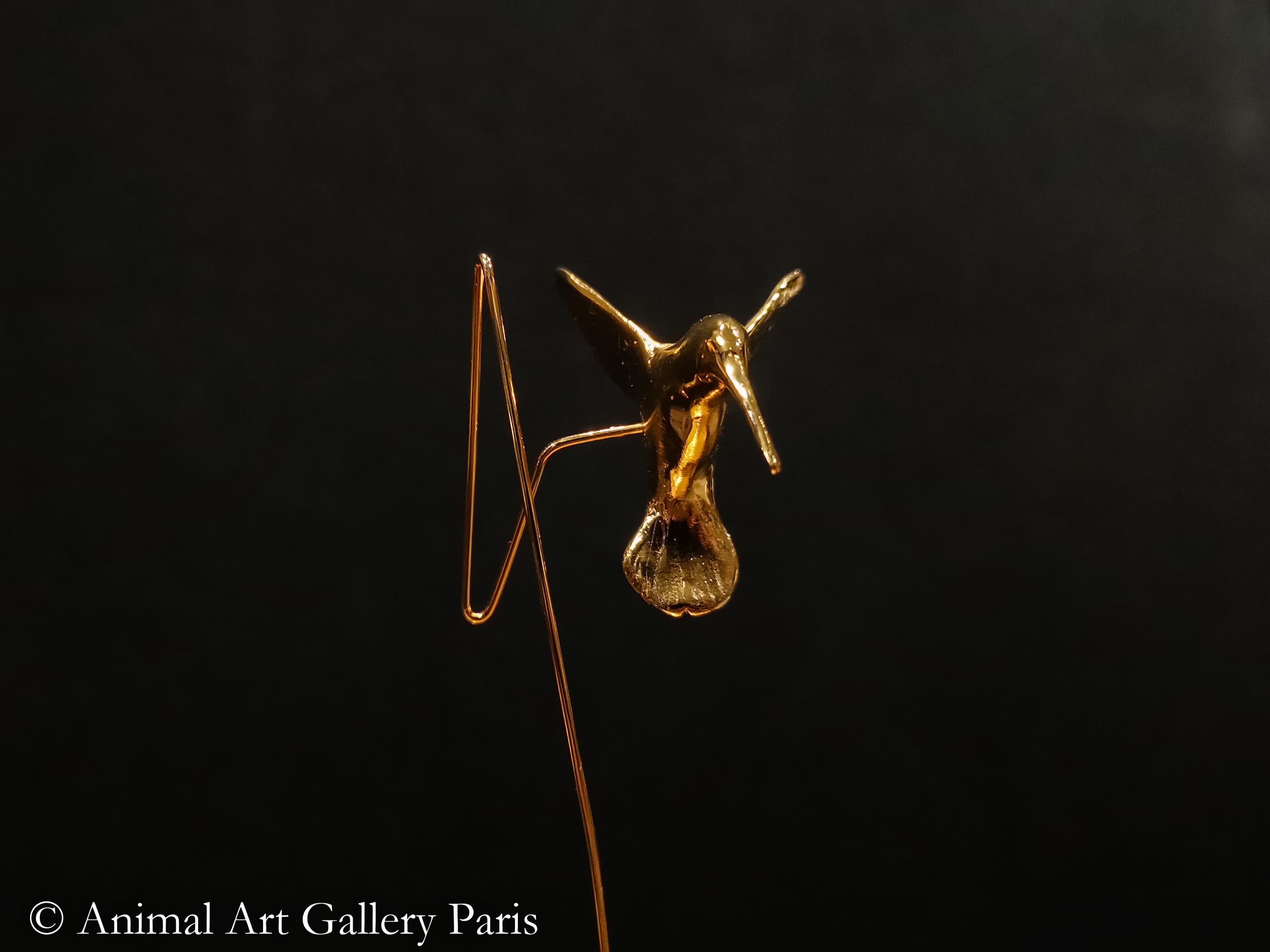 COLIBRI No2